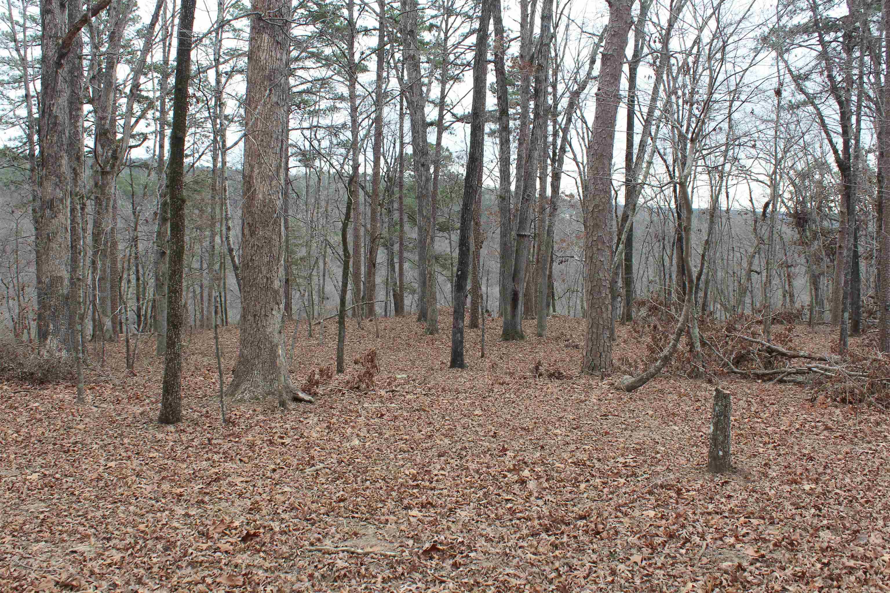 000 Old Brewer Rd Property Photo 45