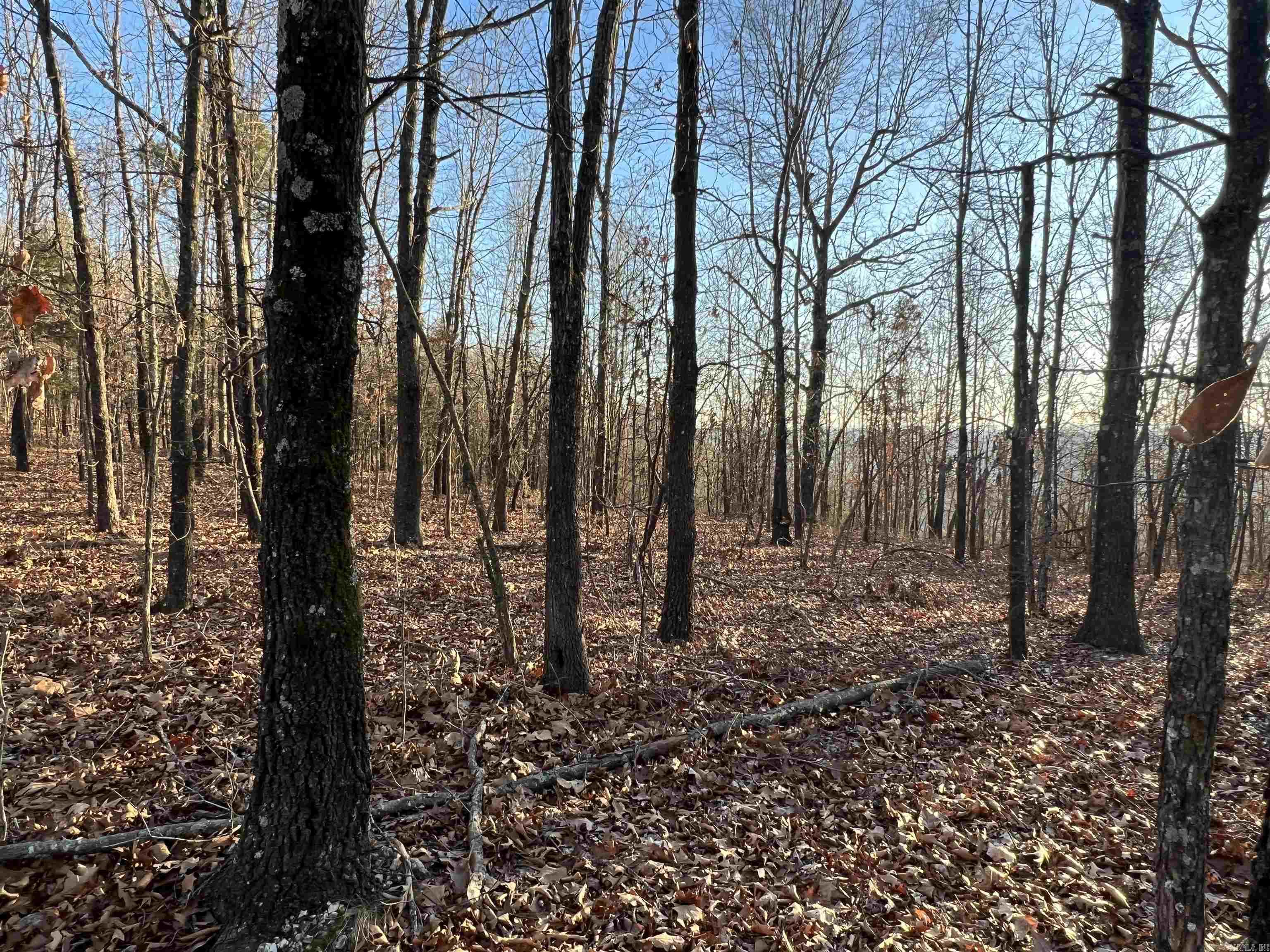 Prayer Mountain Drive Property Photo 1