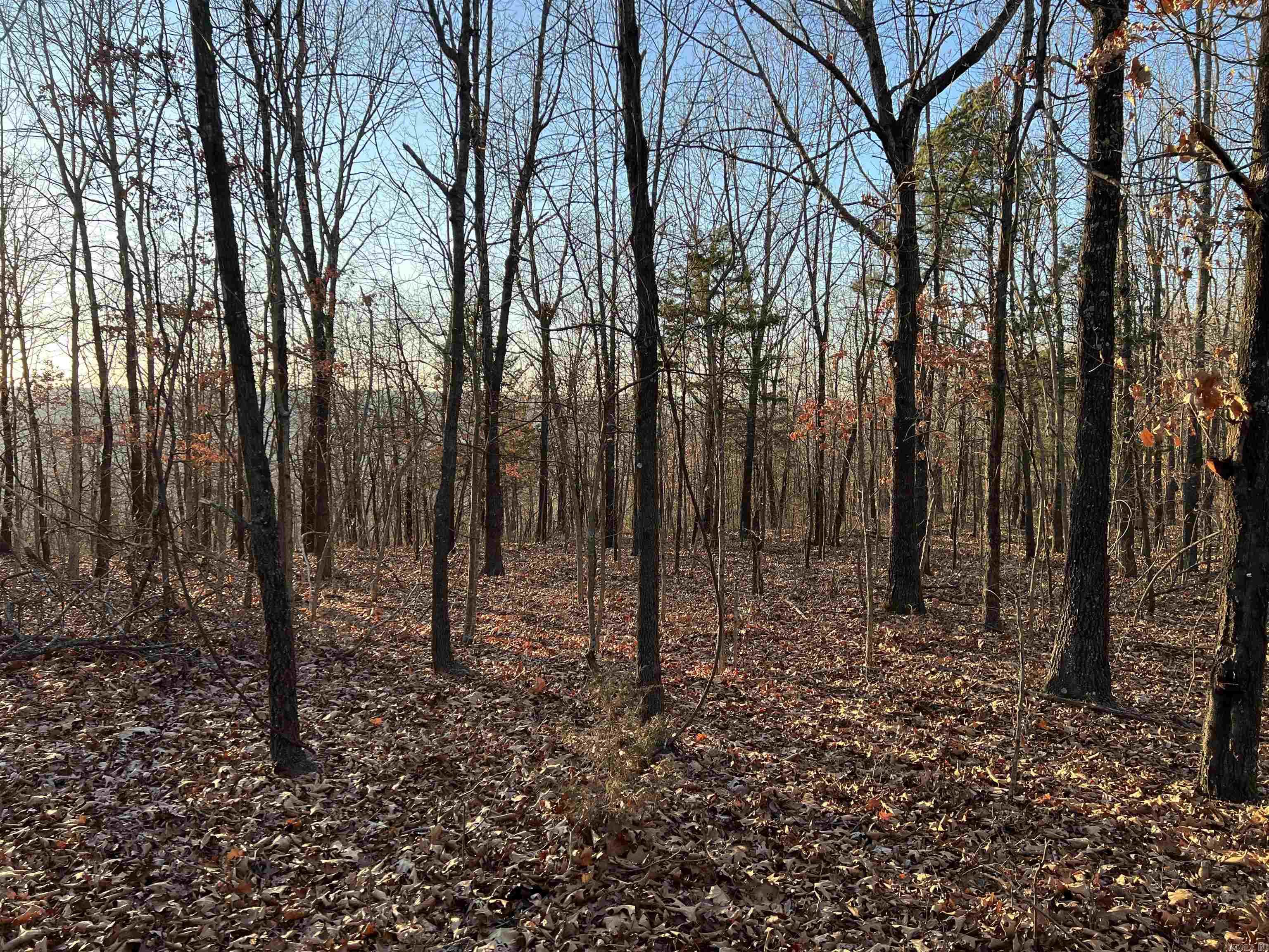 Prayer Mountain Drive Property Photo 2