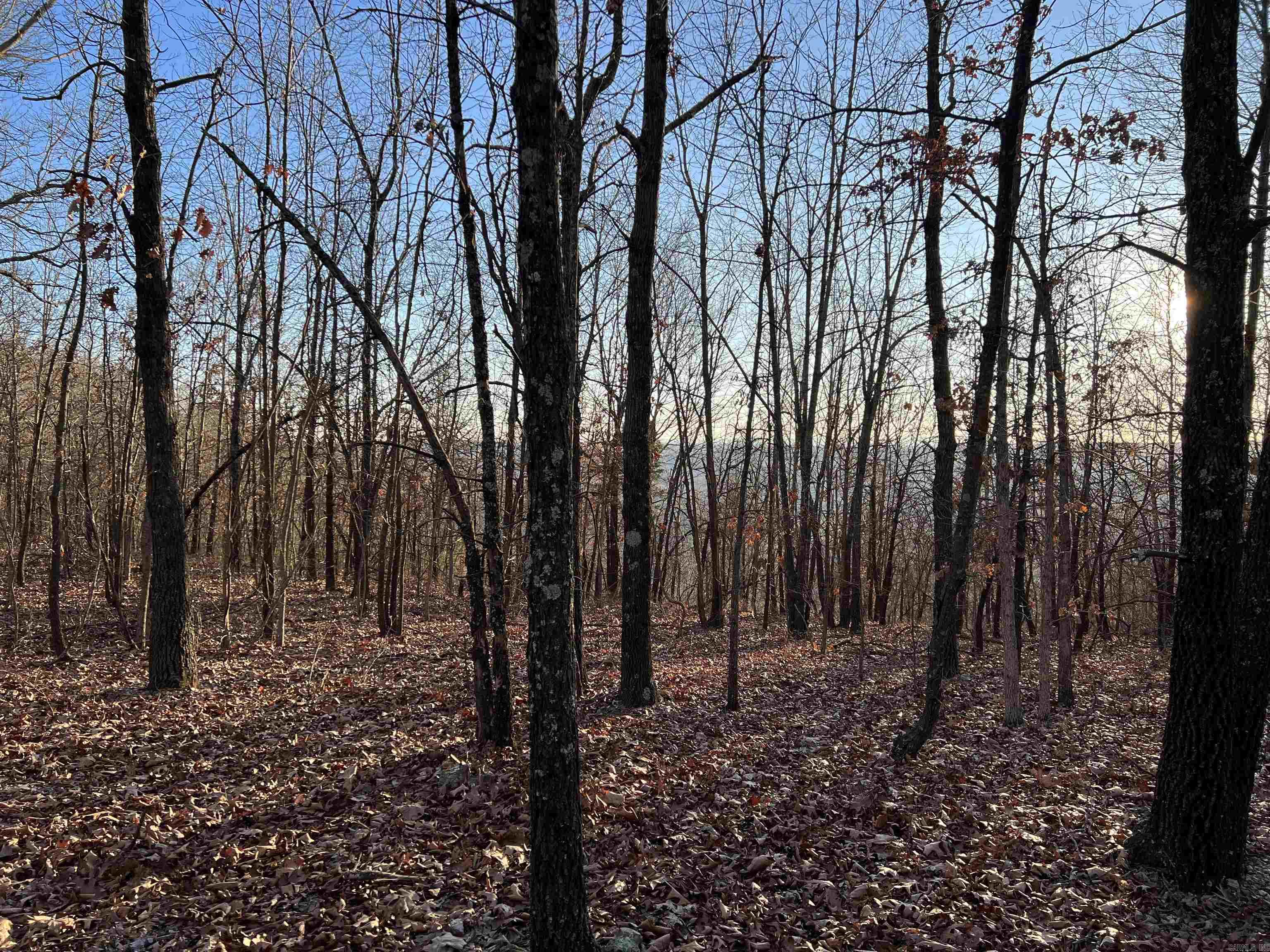 Prayer Mountain Drive Property Photo 3