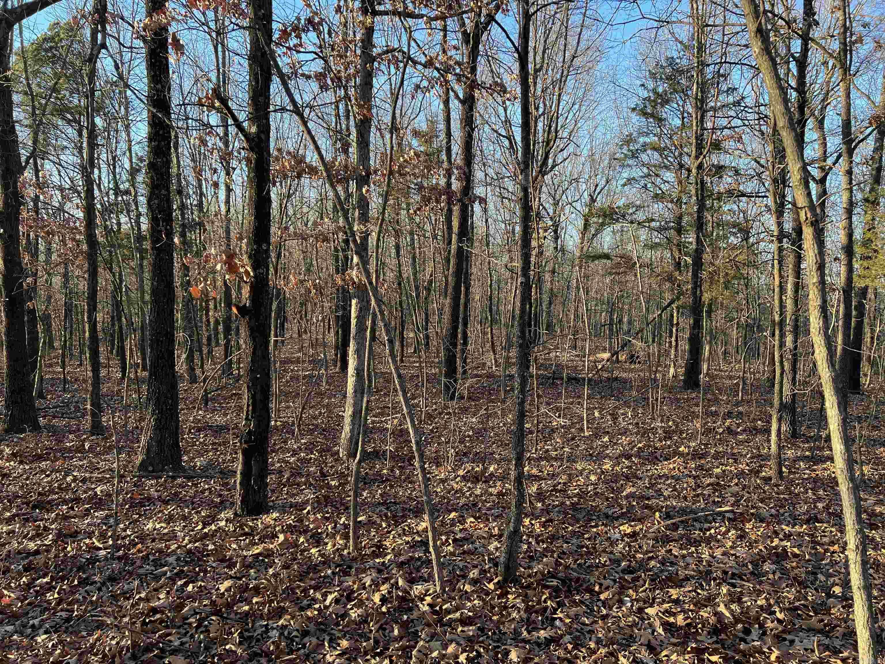 Prayer Mountain Drive Property Photo 6