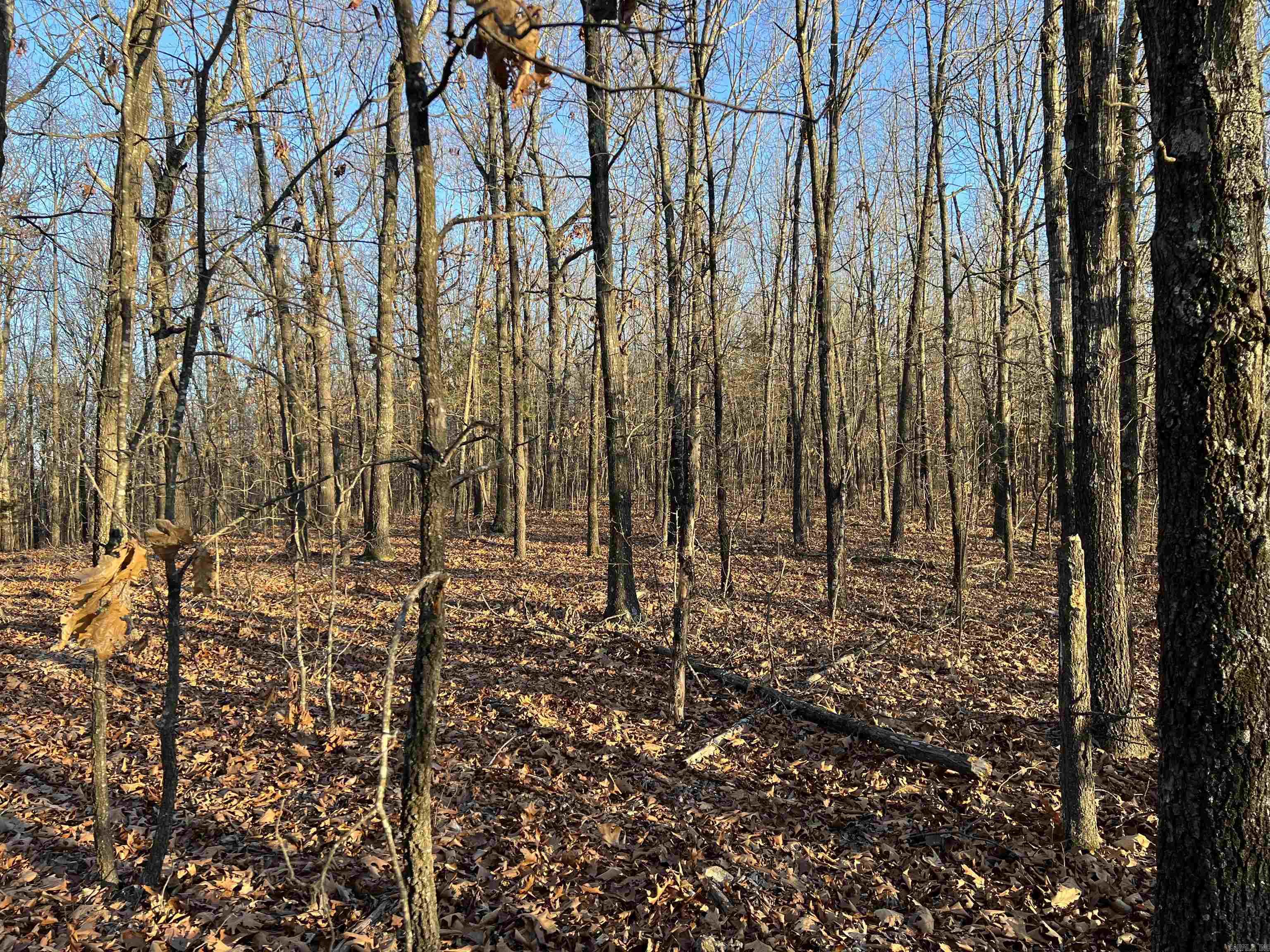 Prayer Mountain Drive Property Photo 7