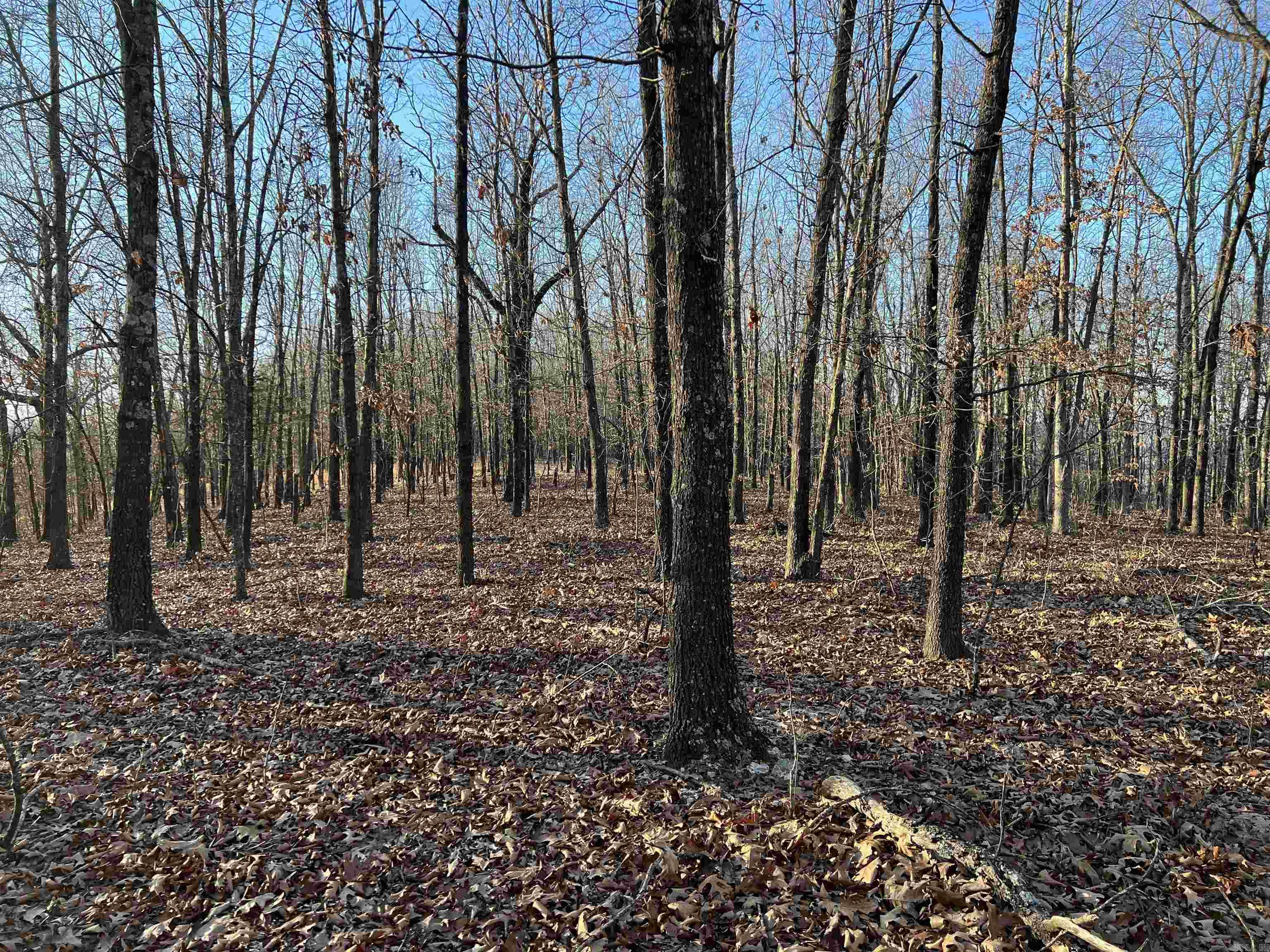 Prayer Mountain Drive Property Photo 8
