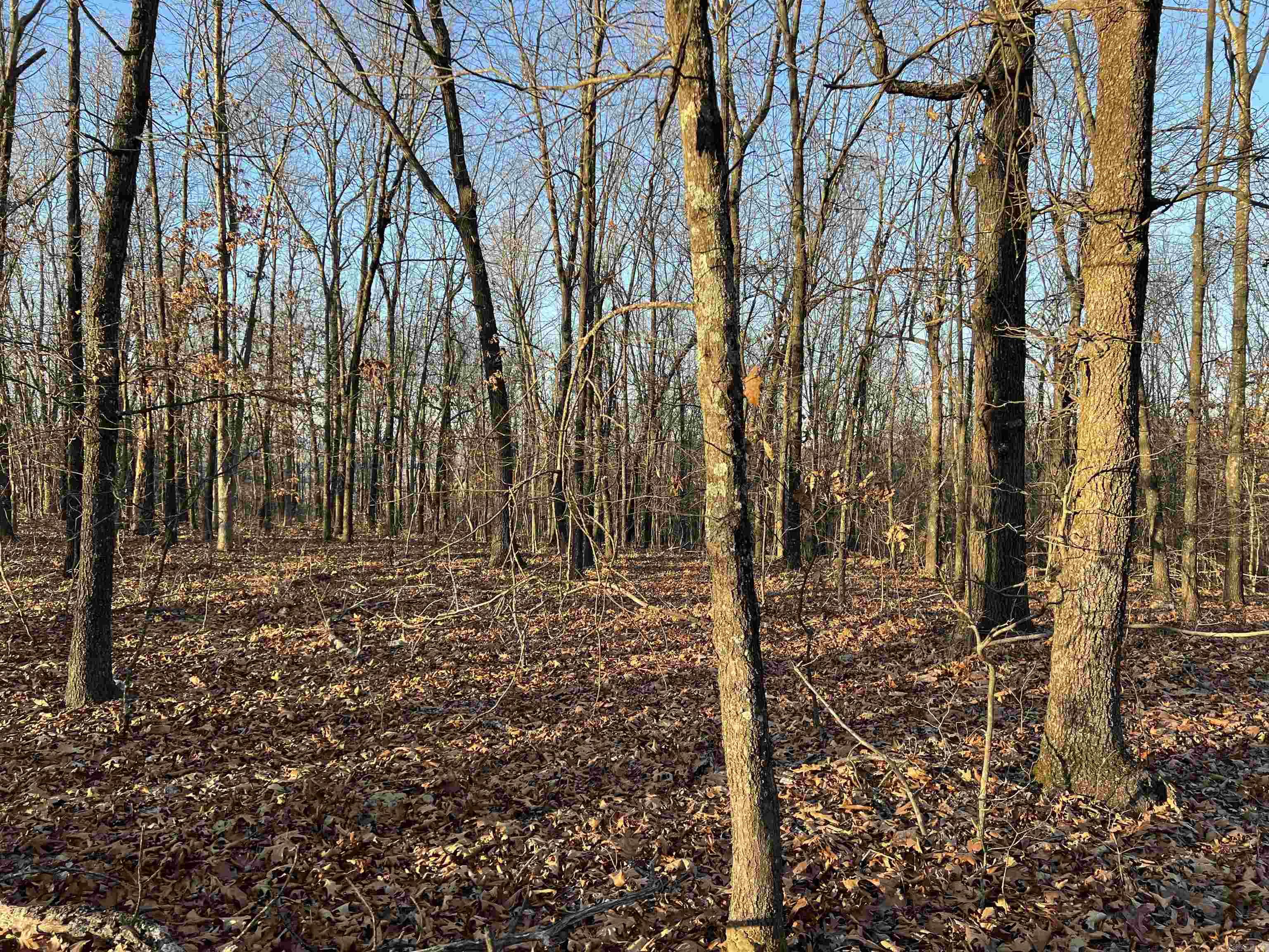 Prayer Mountain Drive Property Photo 9