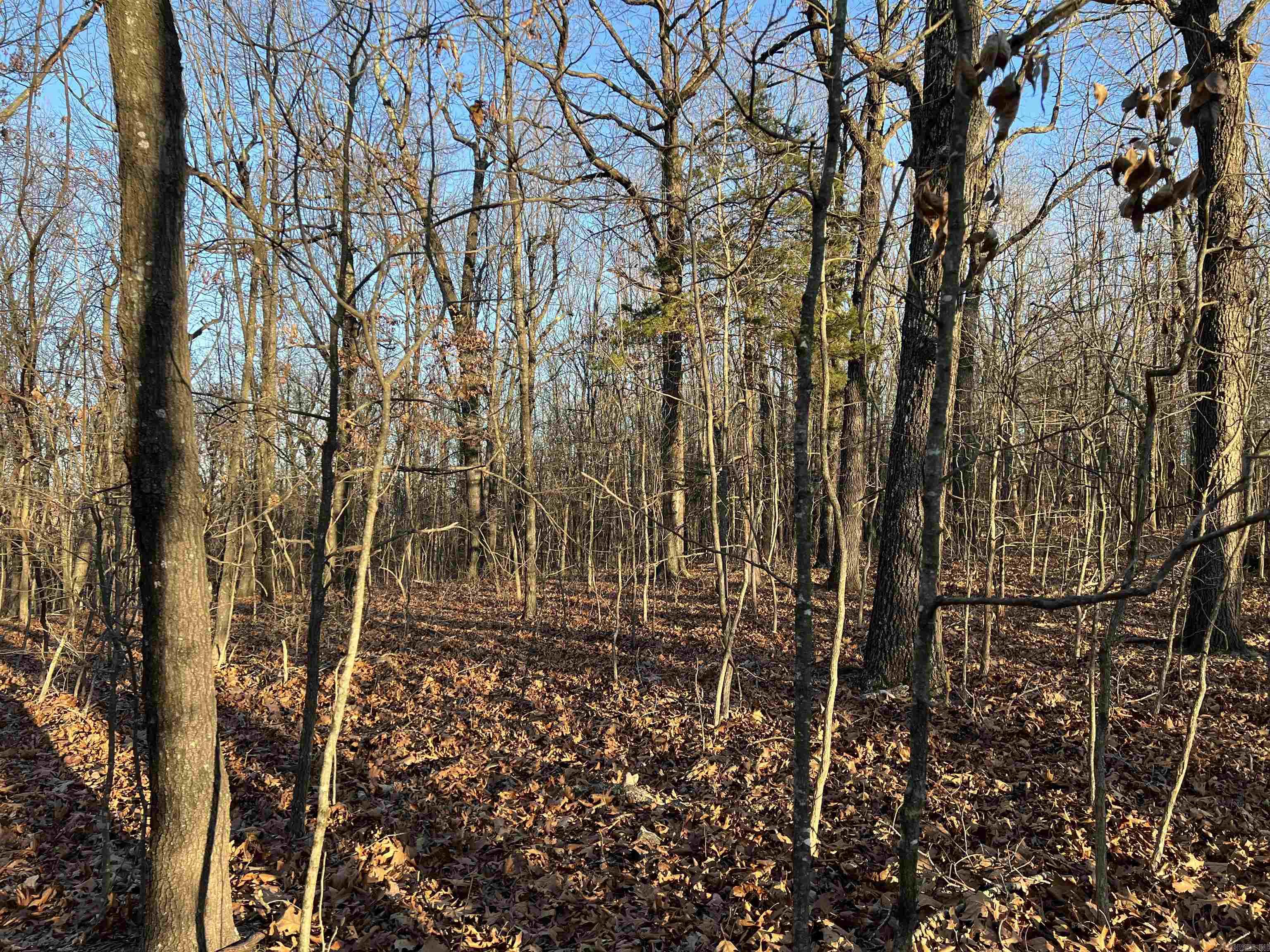 Prayer Mountain Drive Property Photo 10