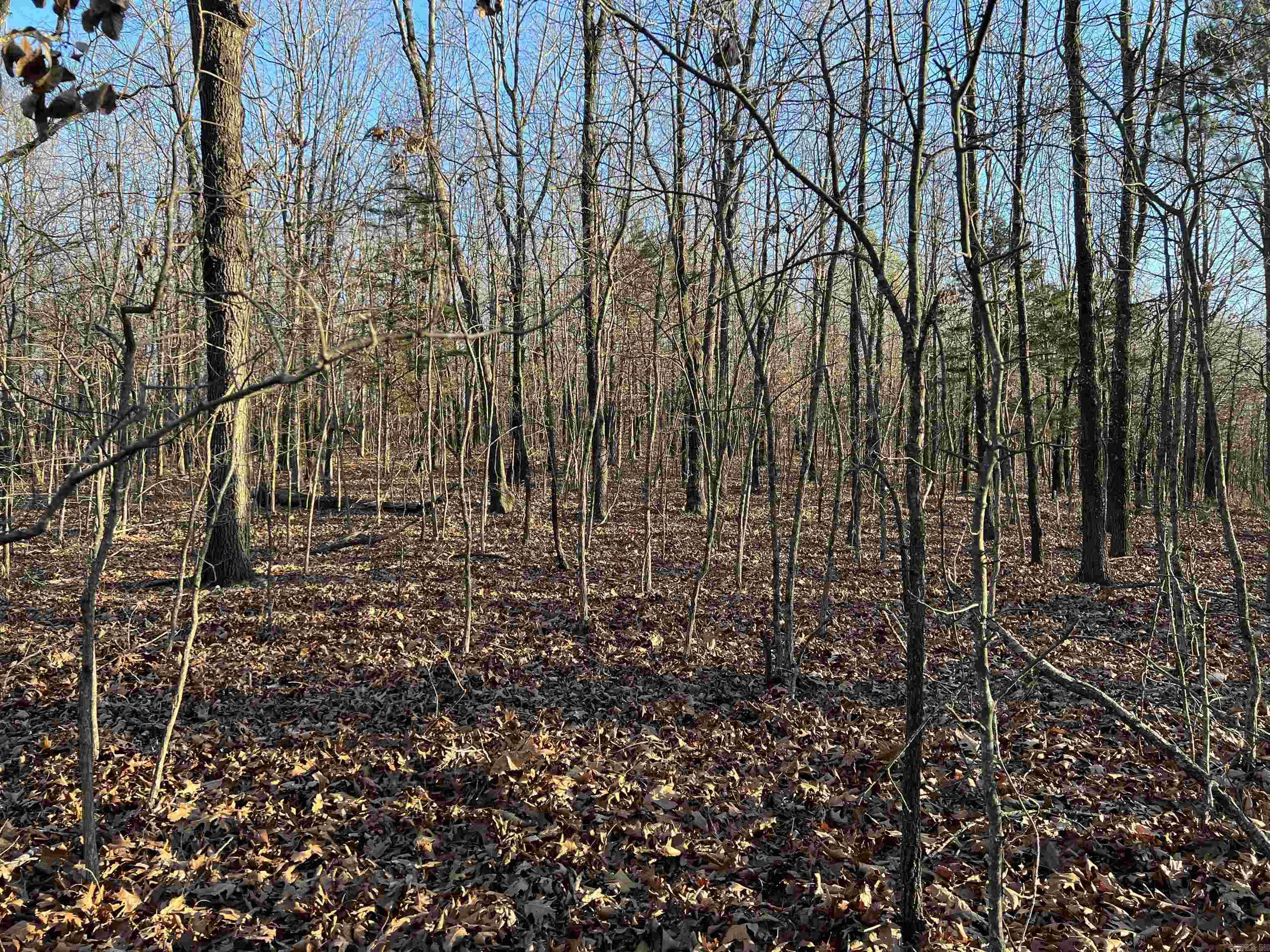 Prayer Mountain Drive Property Photo 11