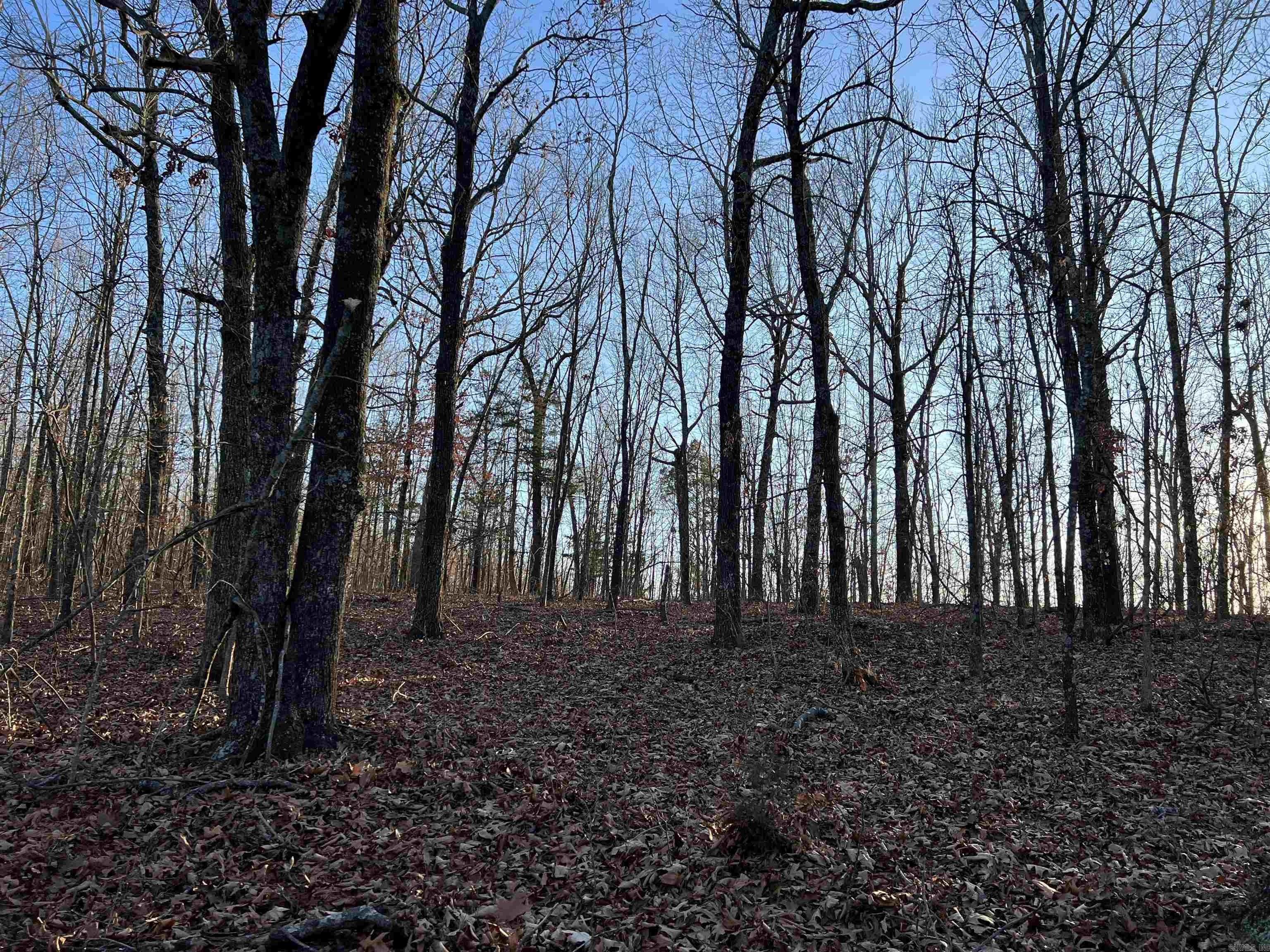 Prayer Mountain Drive Property Photo 12
