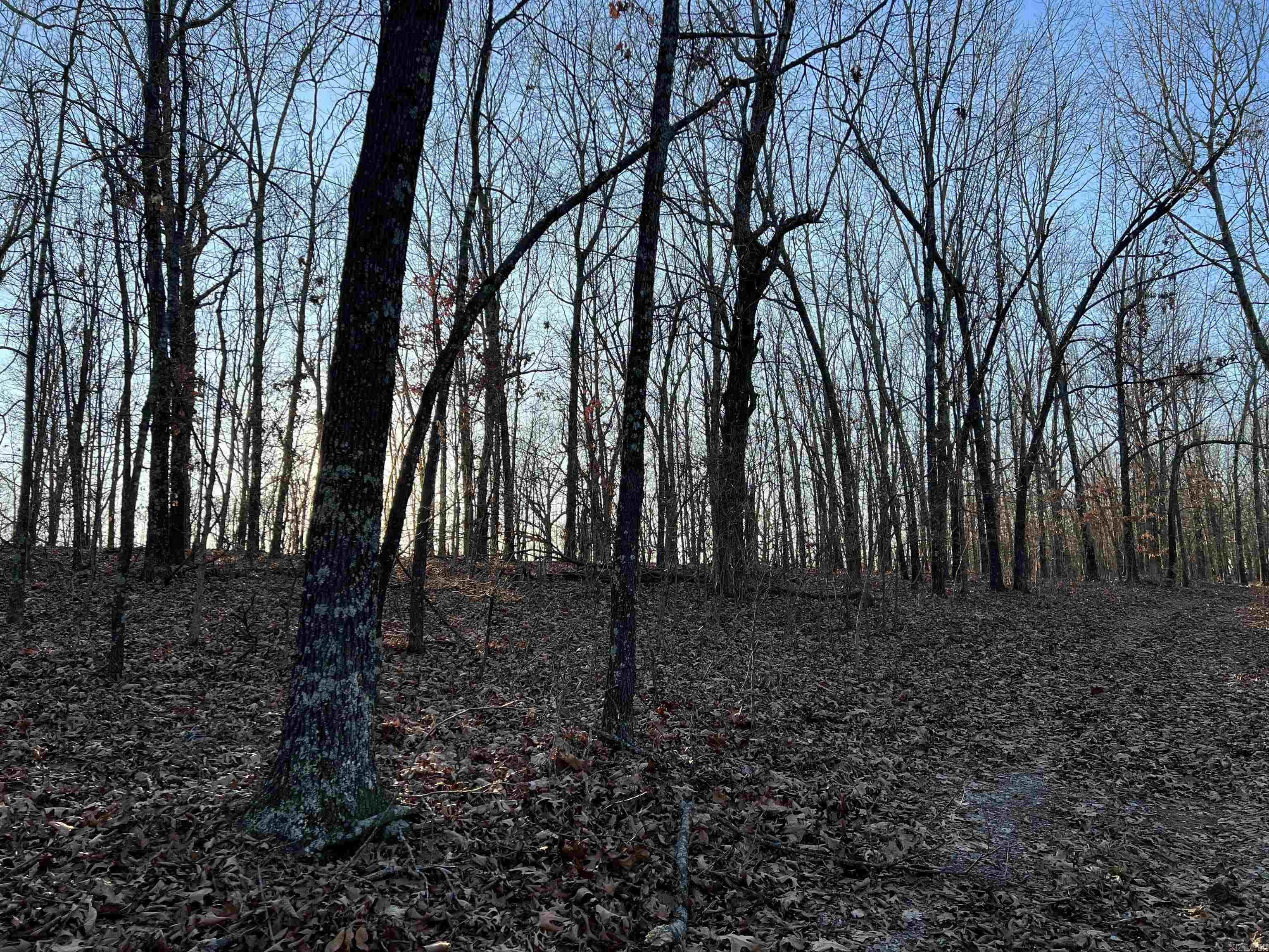 Prayer Mountain Drive Property Photo 13