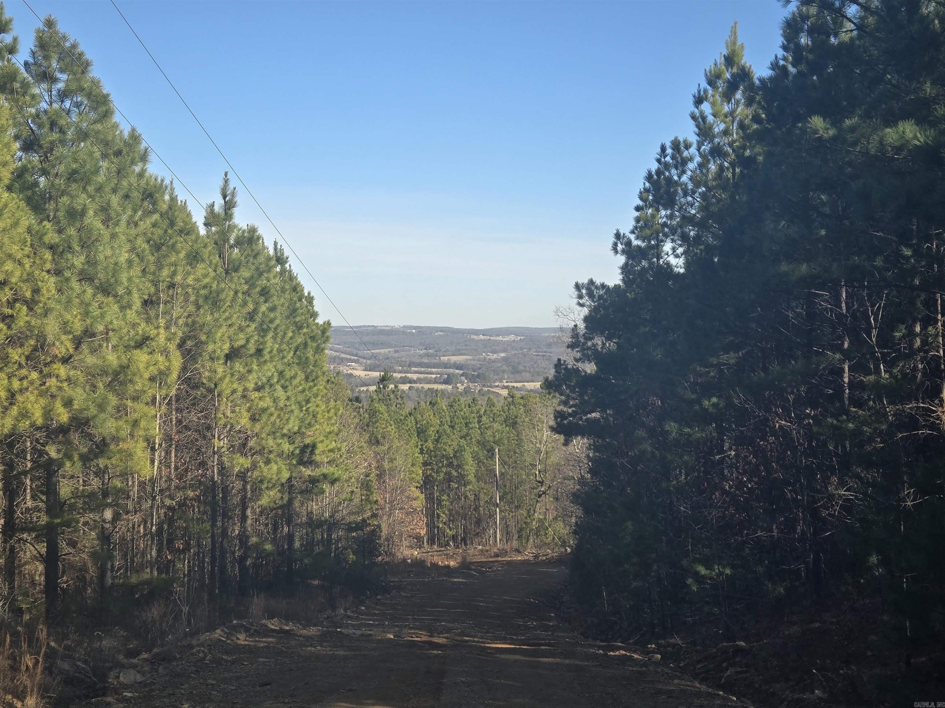 175 Melgie Ridge Rd Property Photo 45
