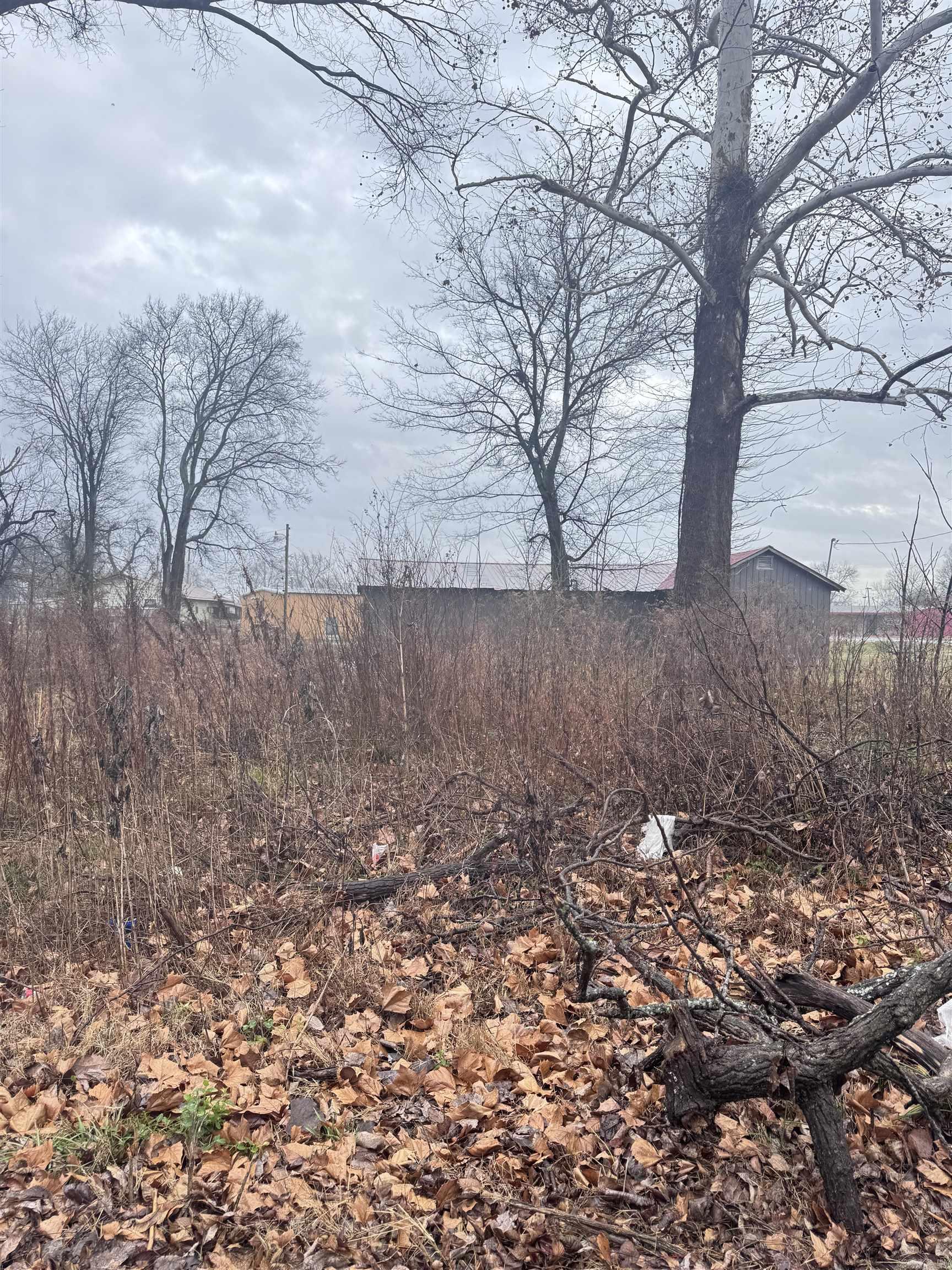 106 E Jackson Street Property Photo 1