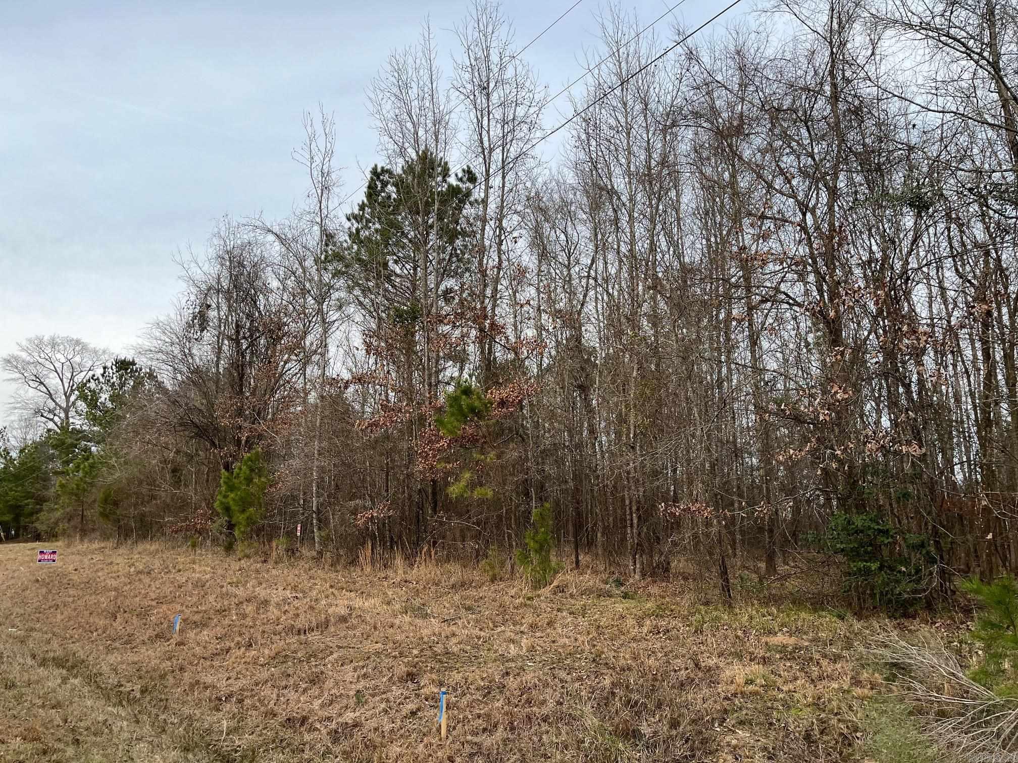 0 N Brice Horton Road Property Photo 2
