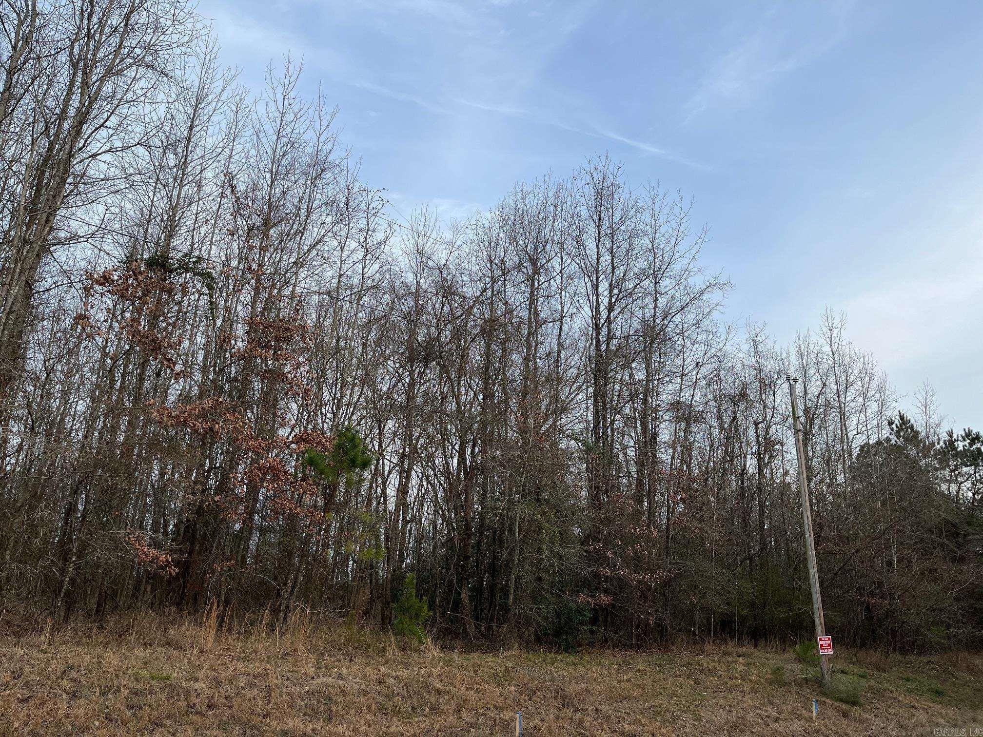 0 N Brice Horton Road Property Photo 3