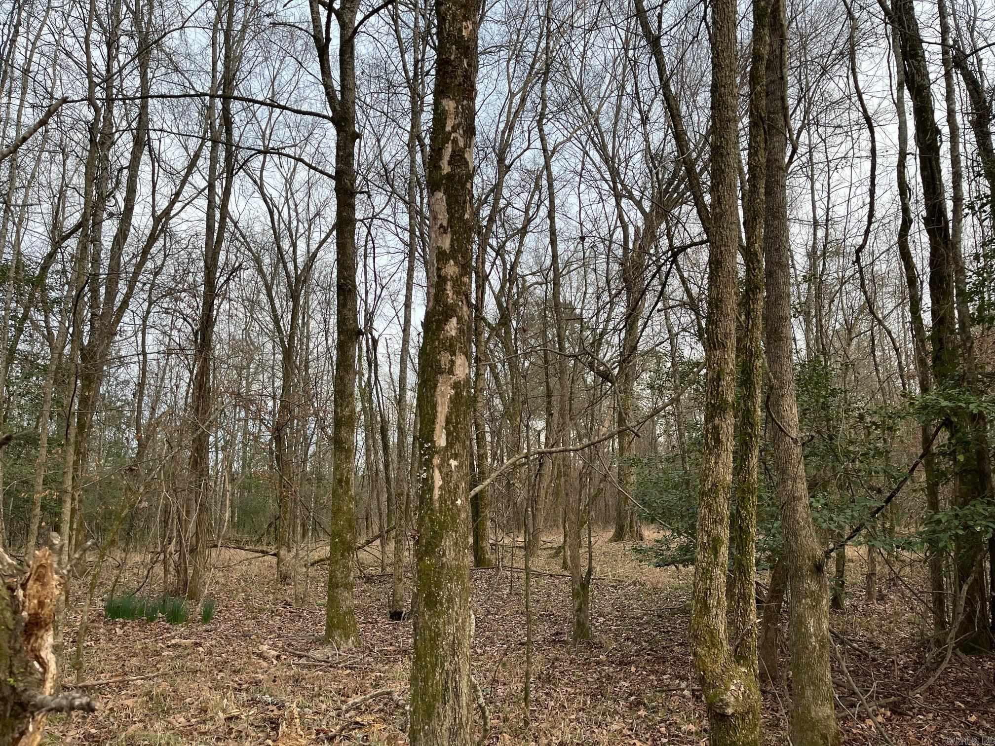 0 N Brice Horton Road Property Photo 4