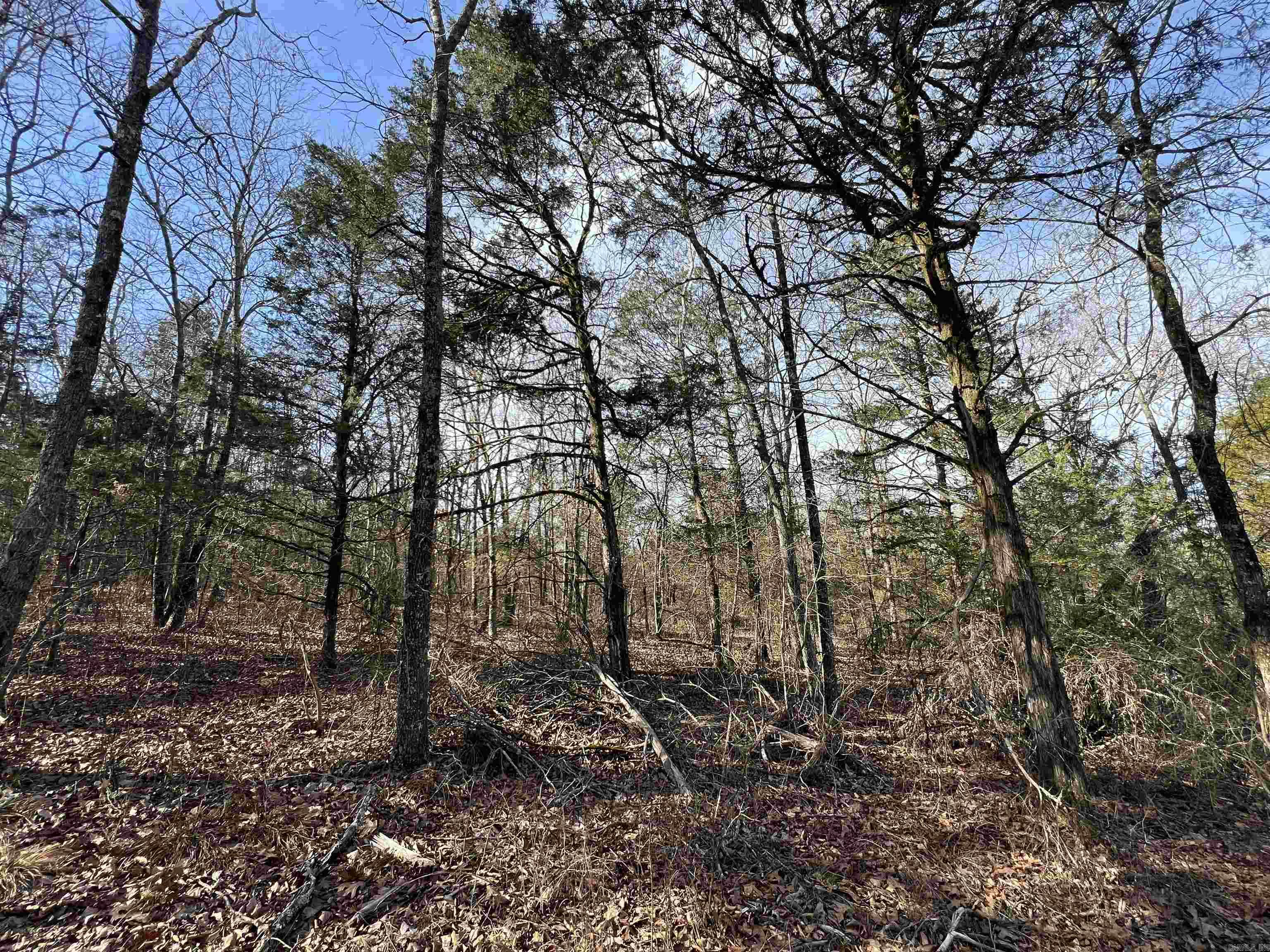 000 Shiloh Rd Property Photo 6