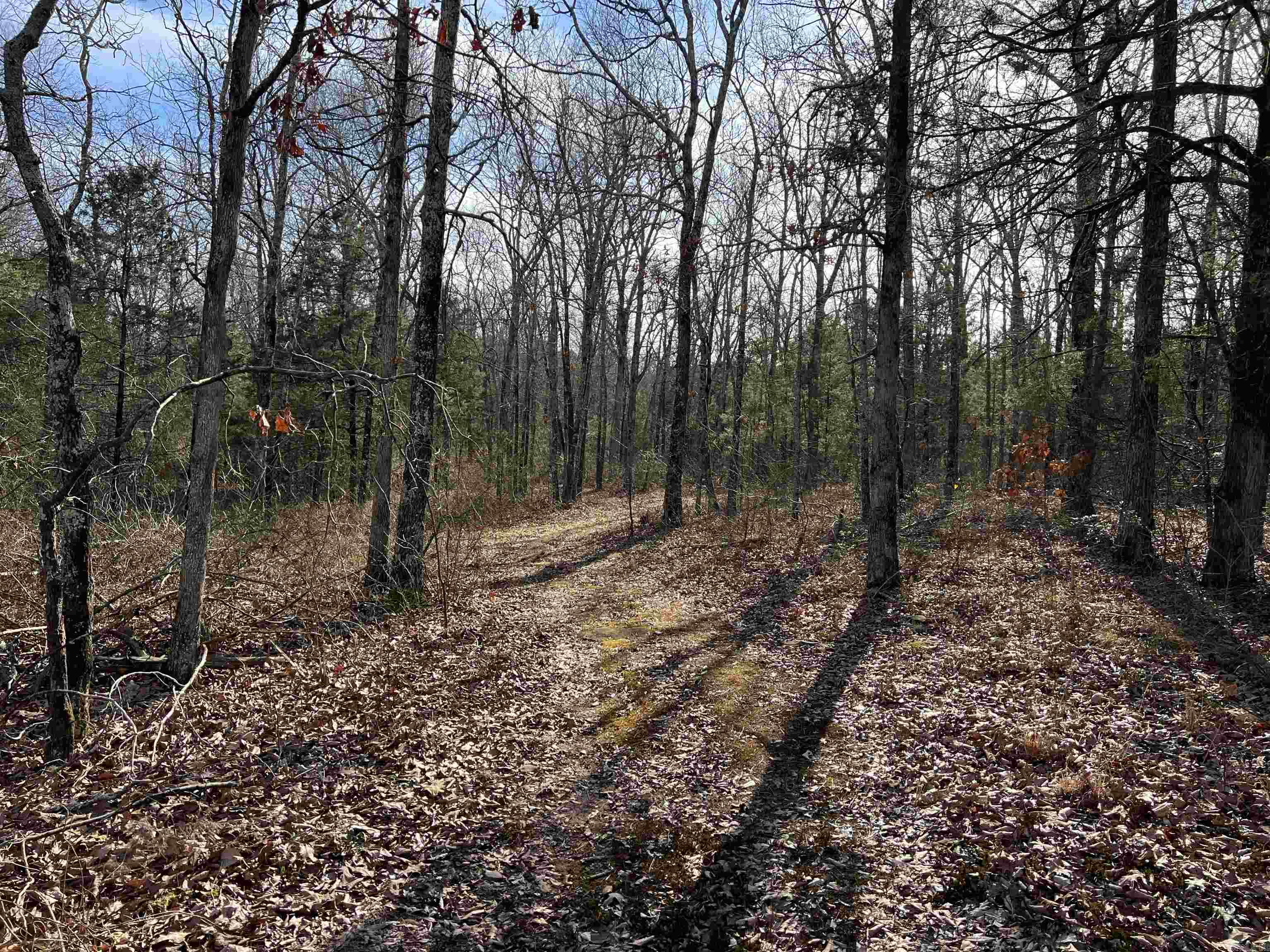 000 Shiloh Rd Property Photo 7