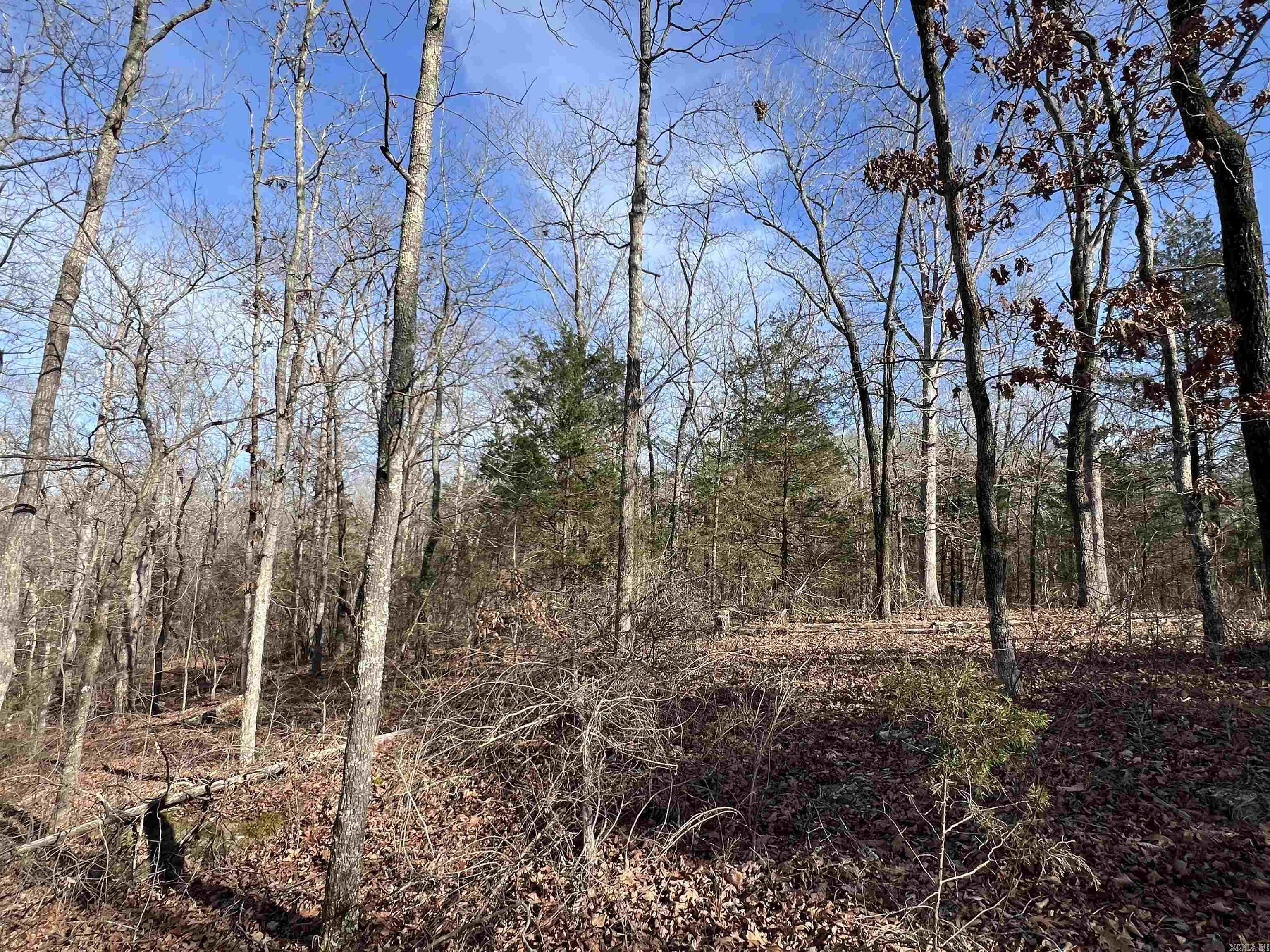 000 Shiloh Rd Property Photo 8