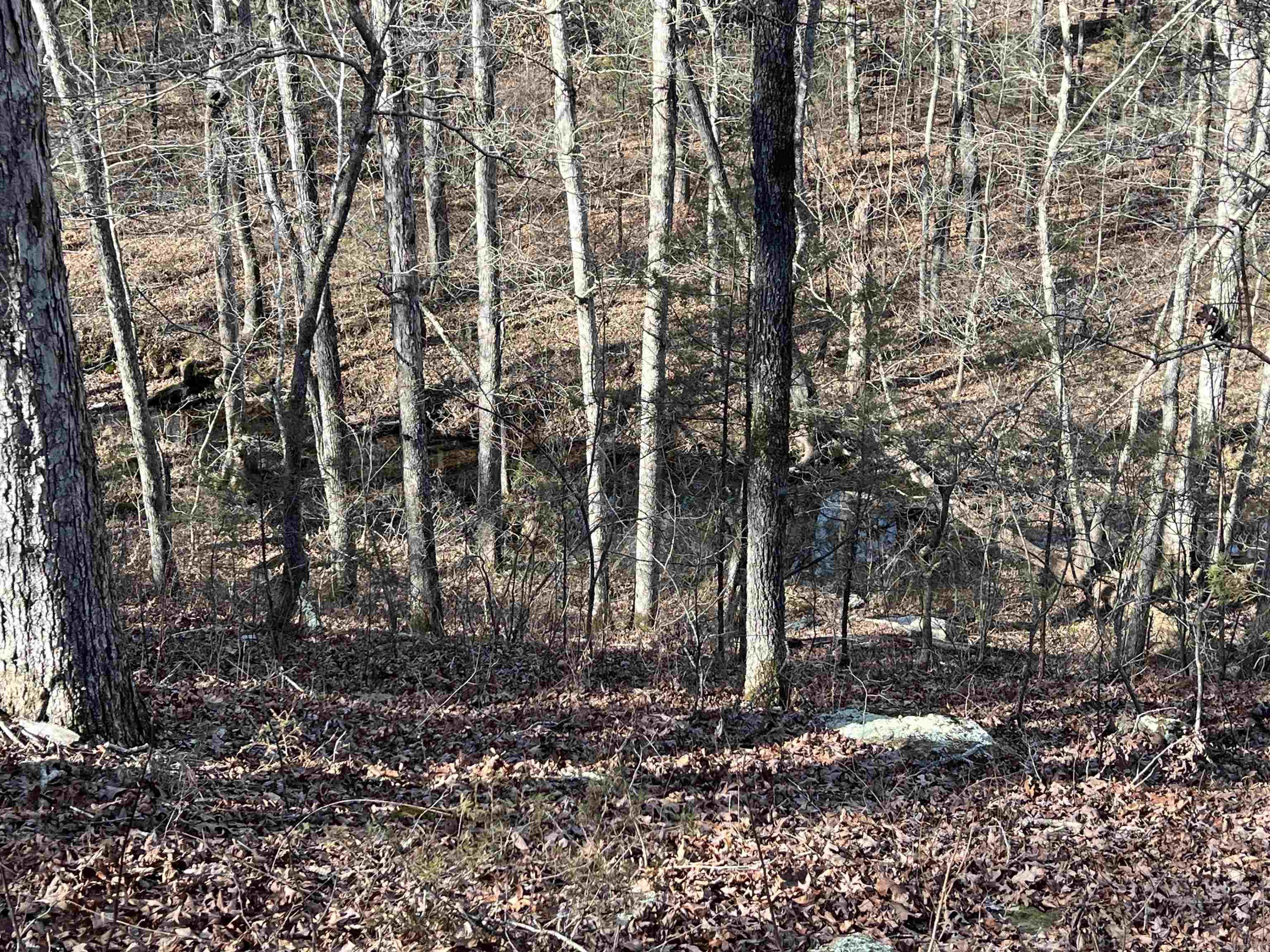 000 Shiloh Rd Property Photo 10