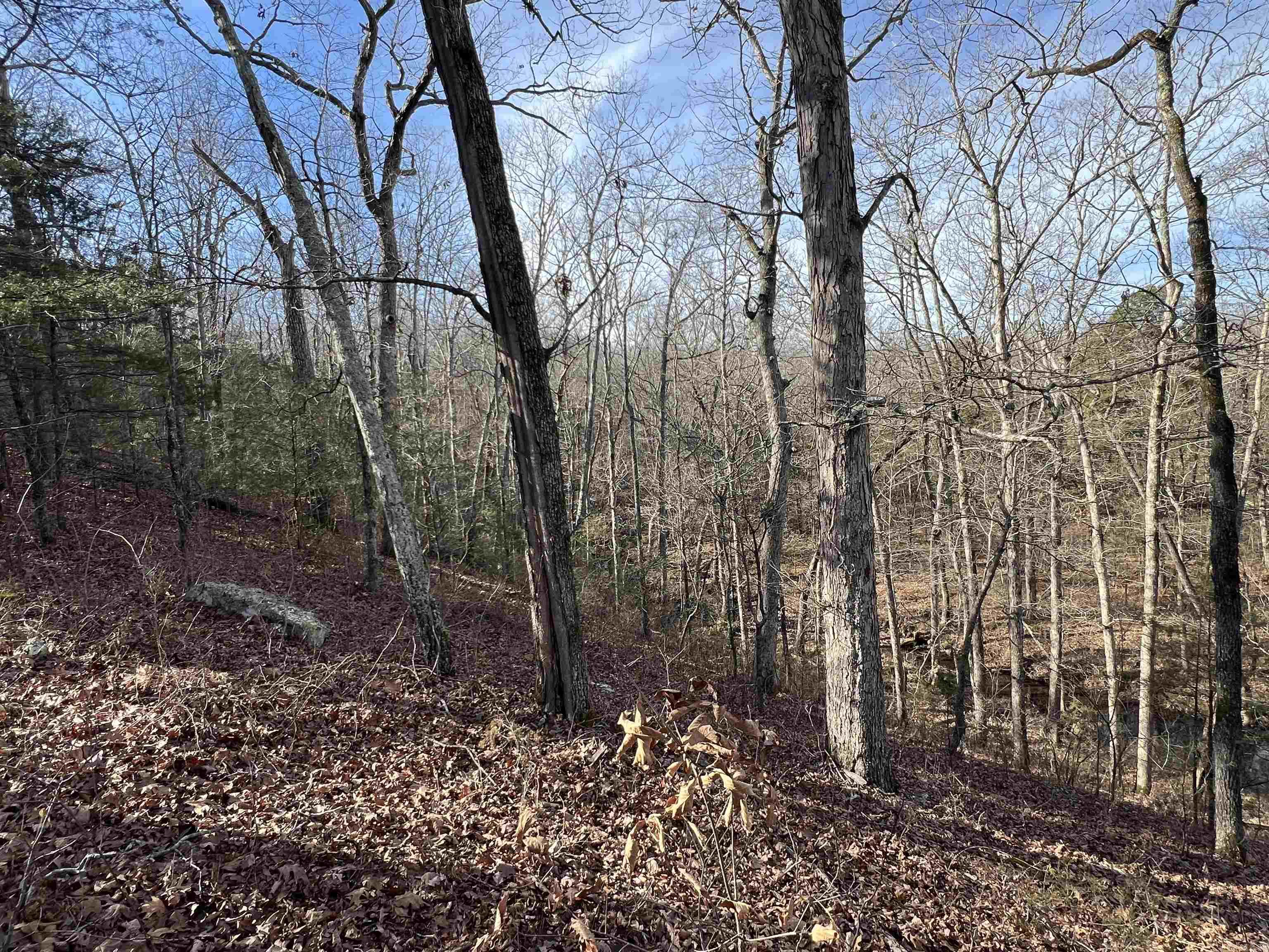 000 Shiloh Rd Property Photo 11