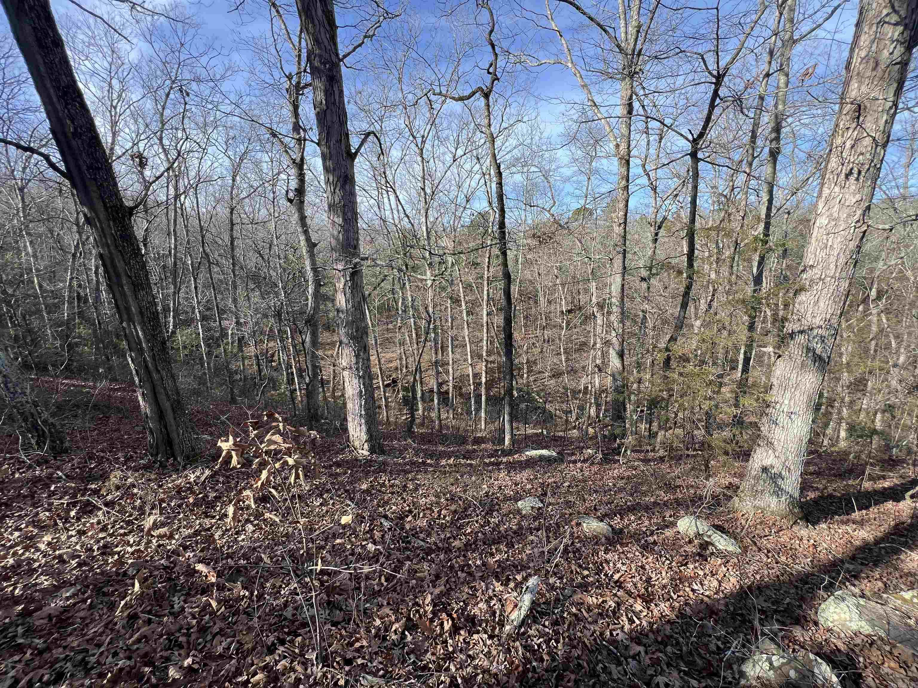 000 Shiloh Rd Property Photo 12