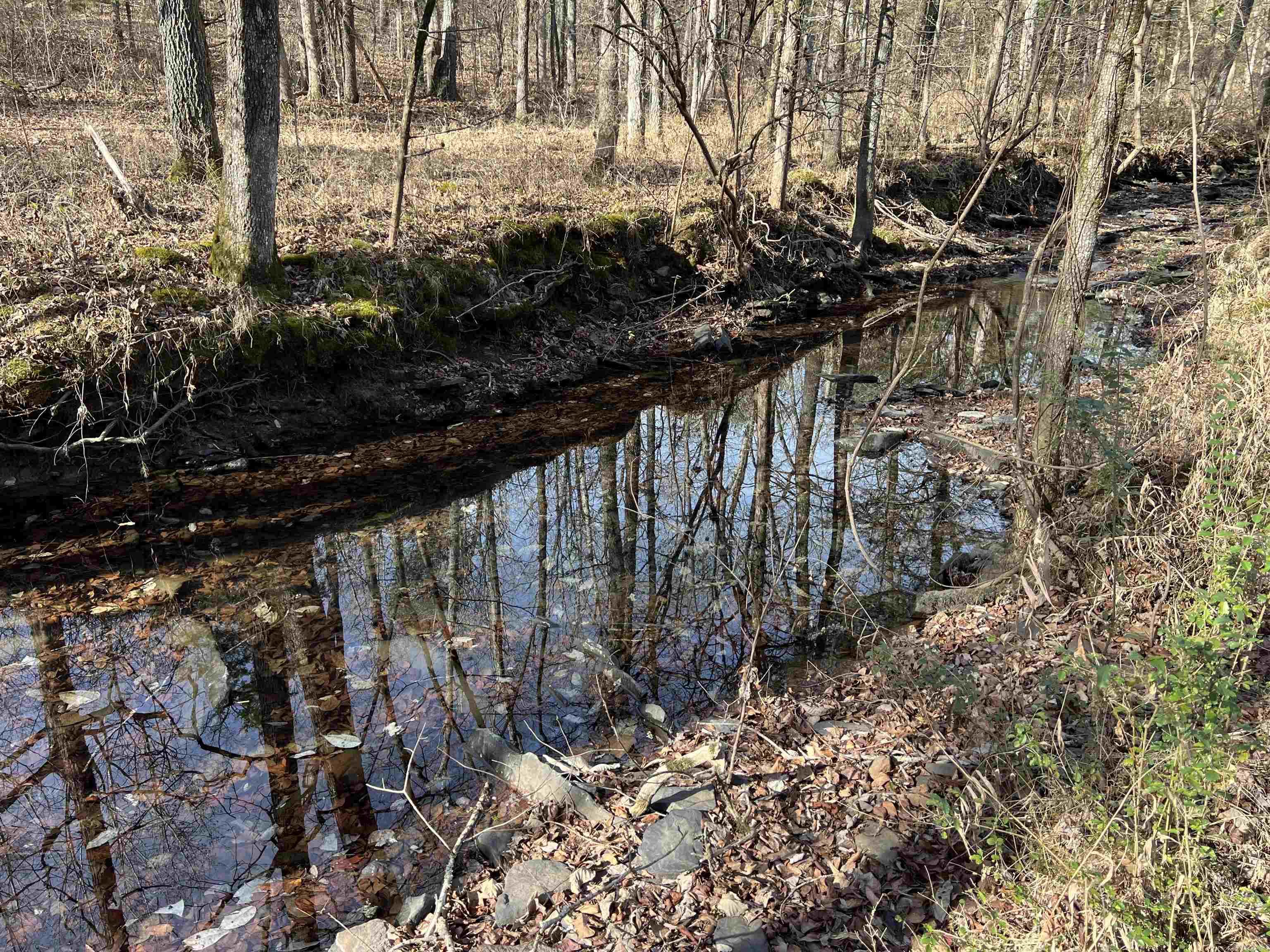 000 Shiloh Rd Property Photo 13
