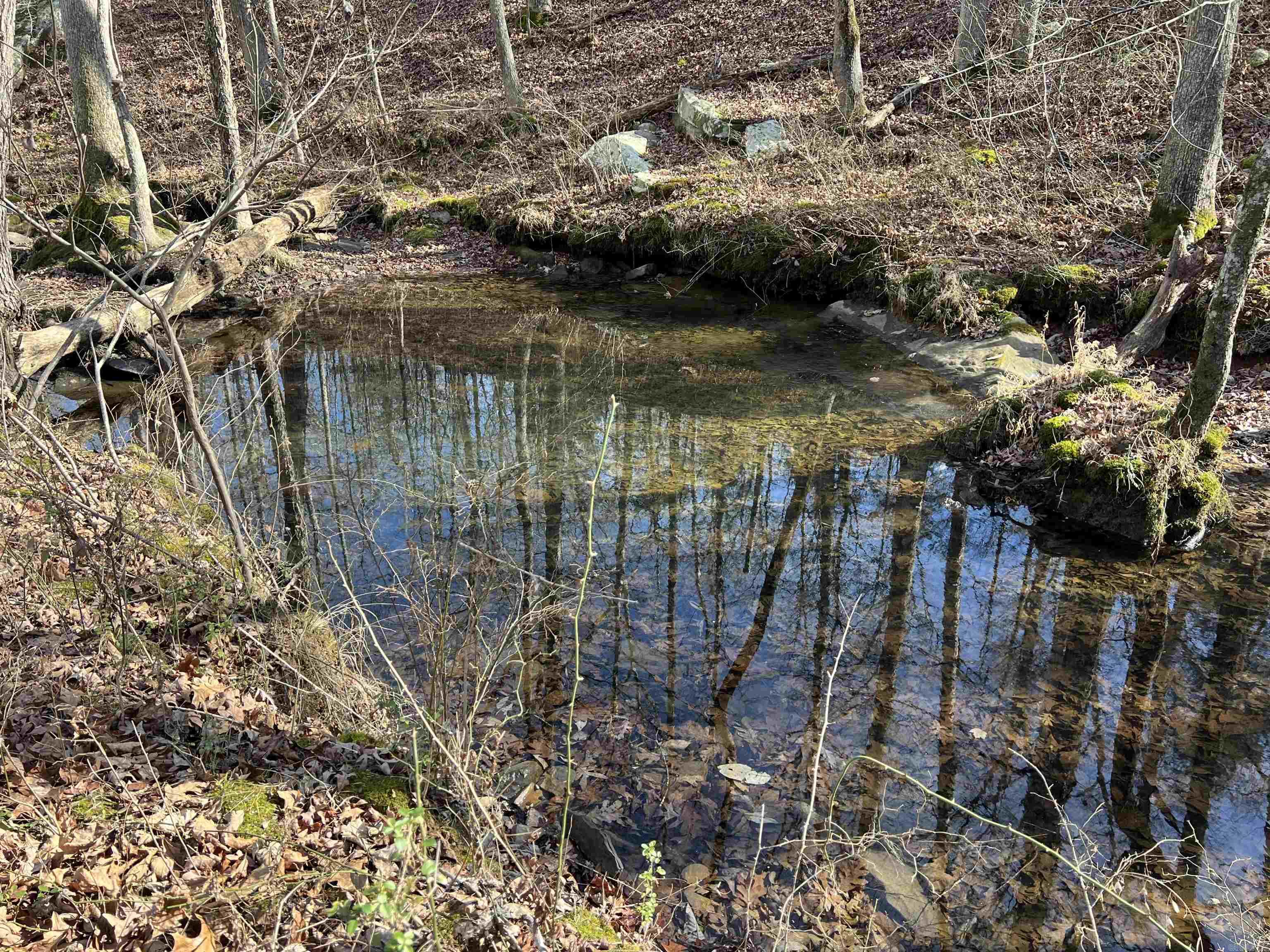 000 Shiloh Rd Property Photo 14