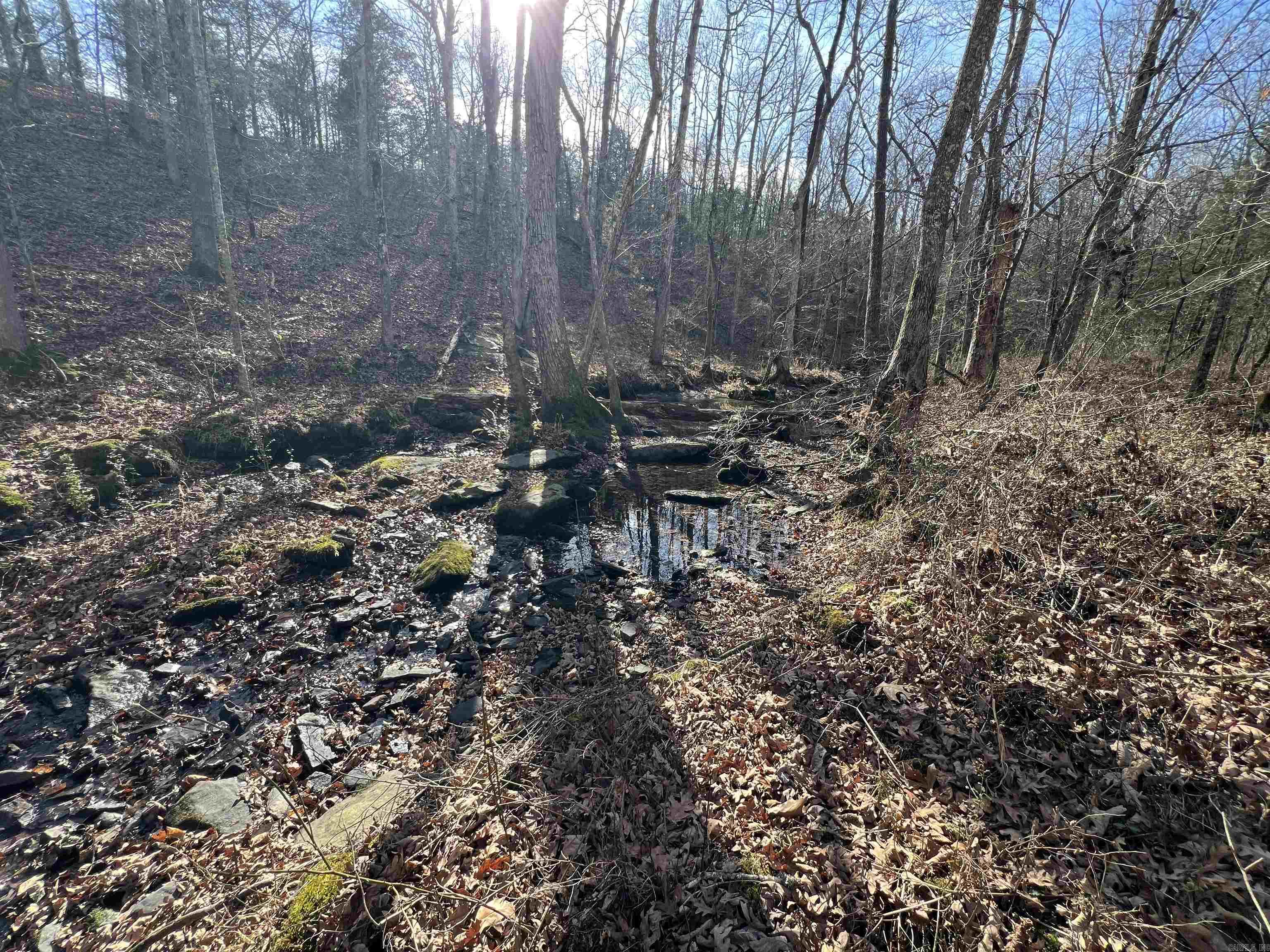 000 Shiloh Rd Property Photo 15