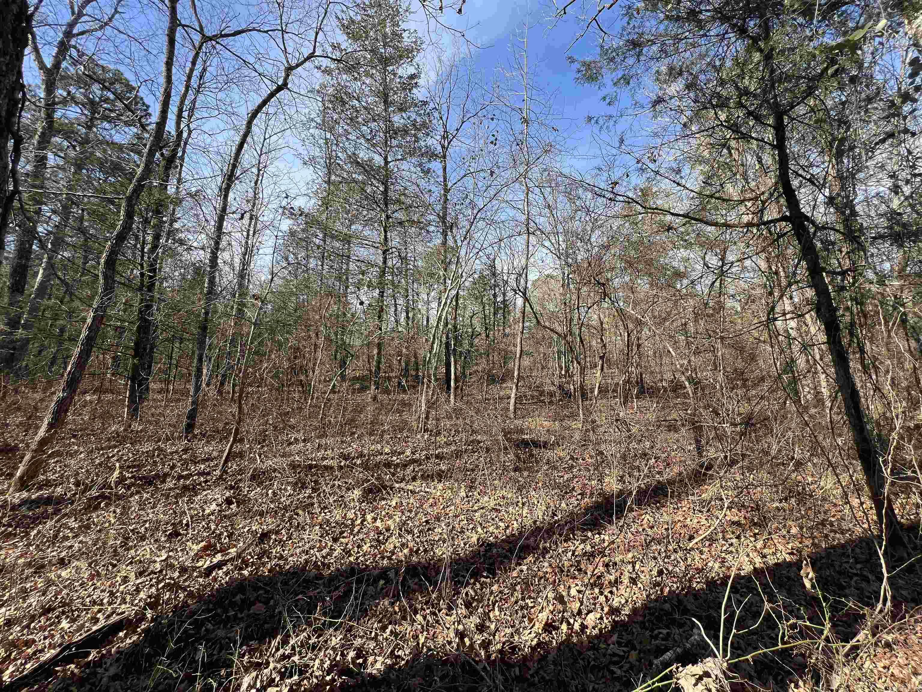 000 Shiloh Rd Property Photo 16