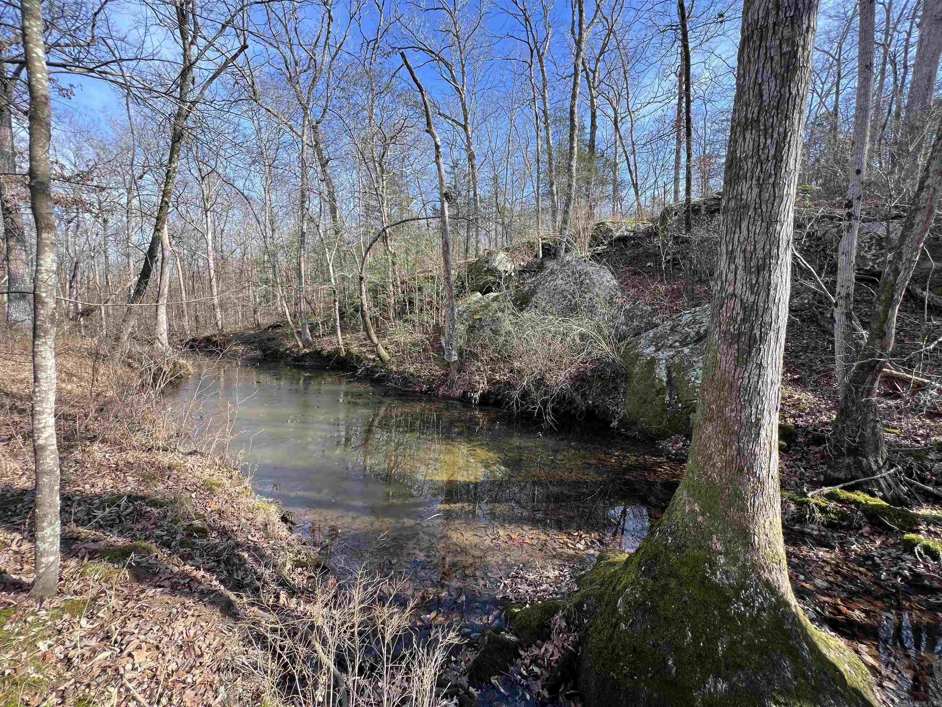 000 Shiloh Rd Property Photo 22