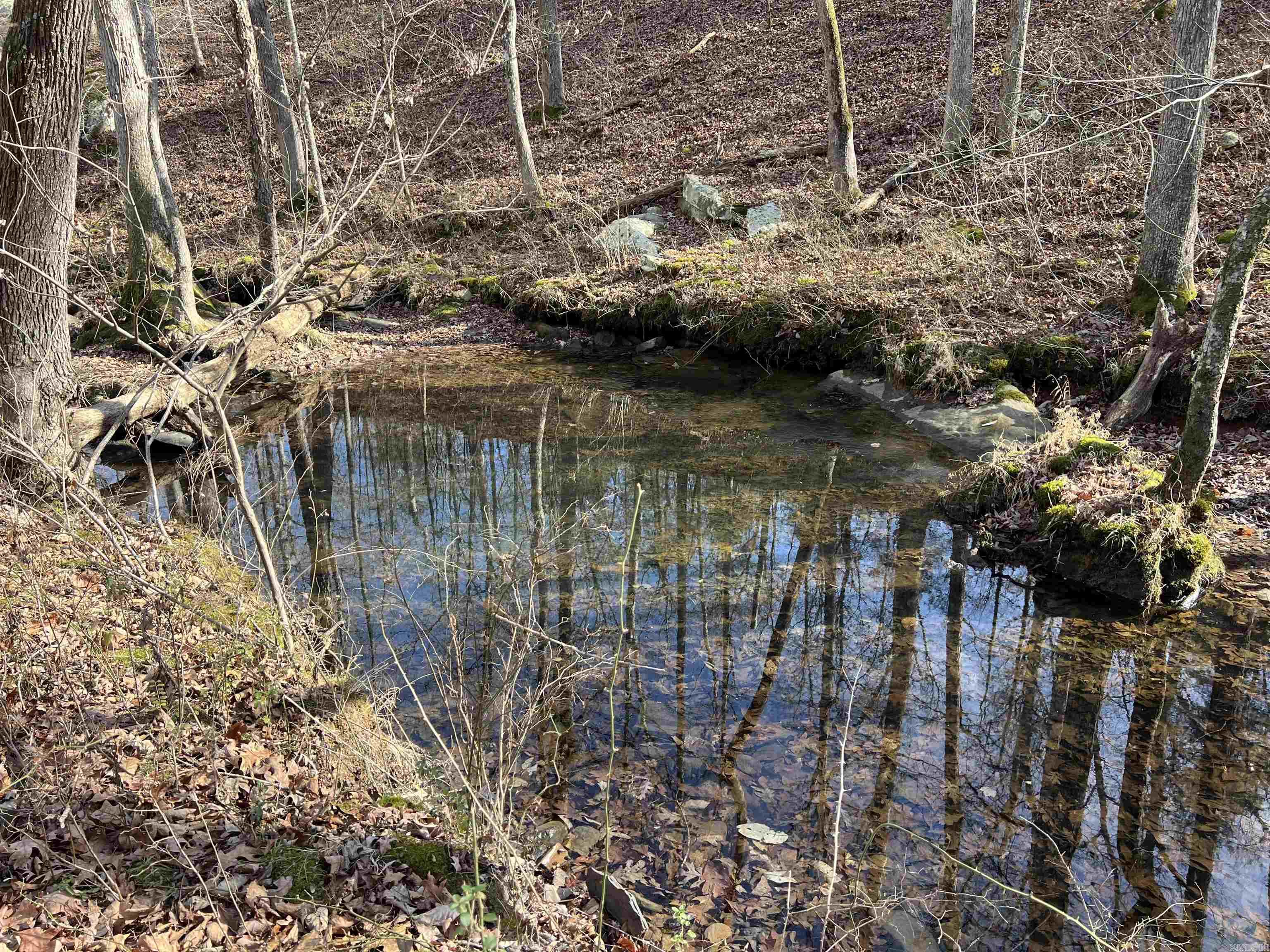 000 Shiloh Rd Property Photo 24
