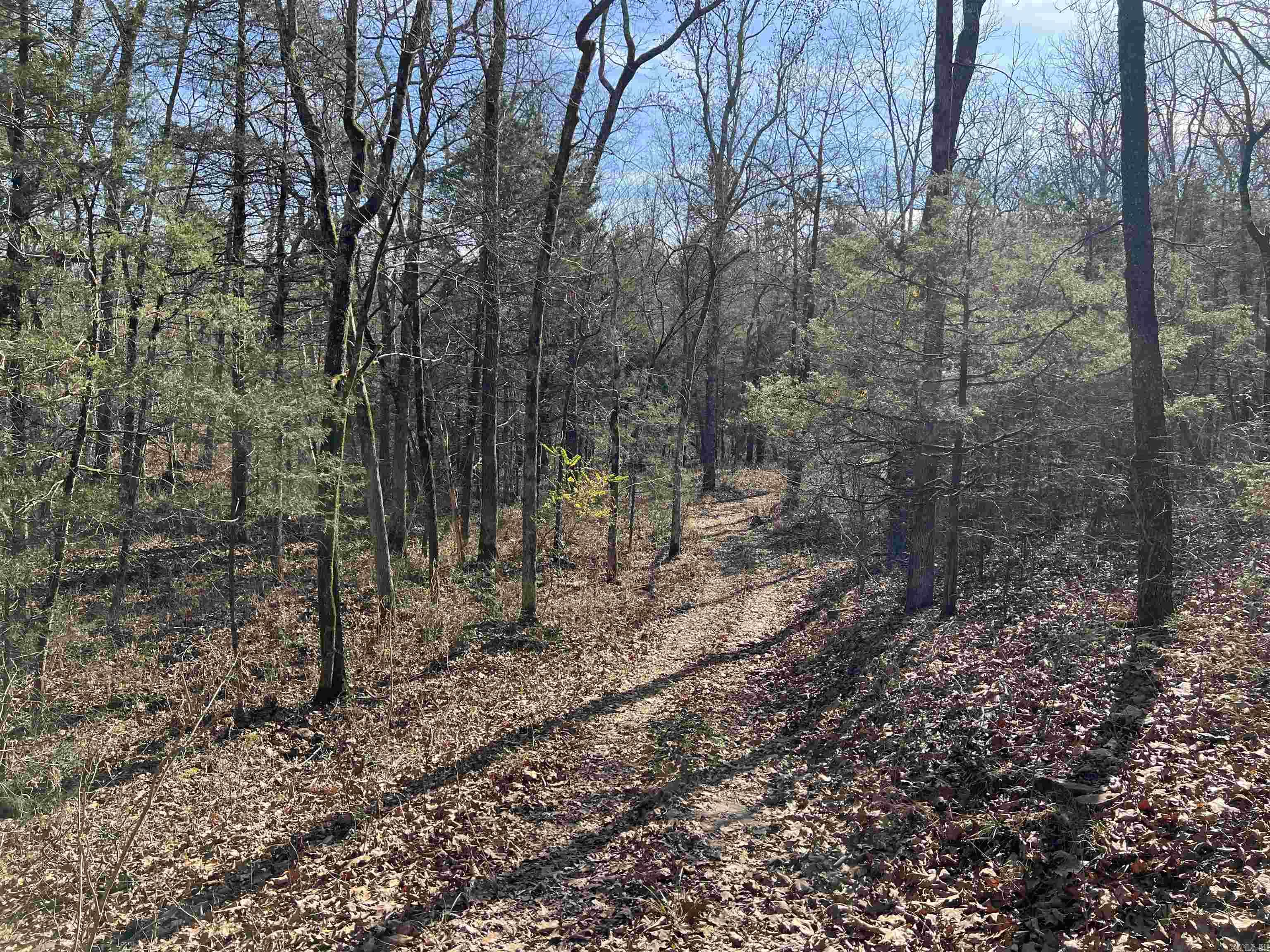 000 Shiloh Rd Property Photo 28