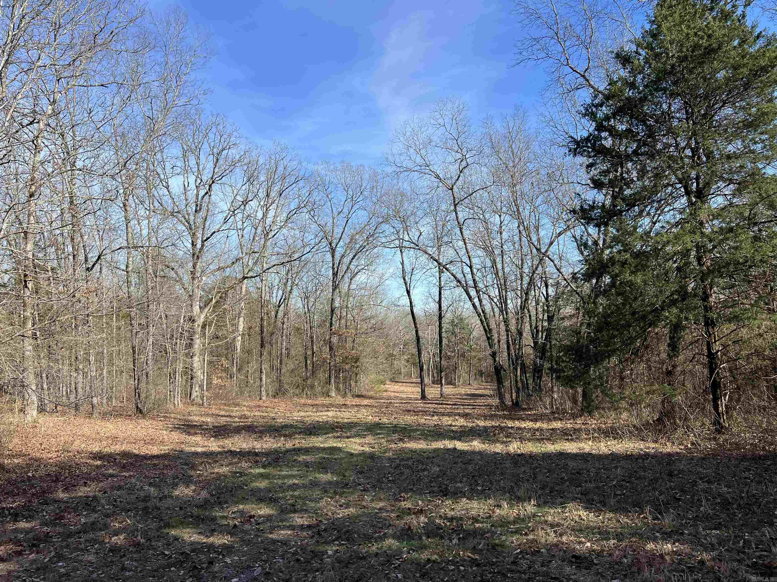 000 Shiloh Rd Property Photo 29