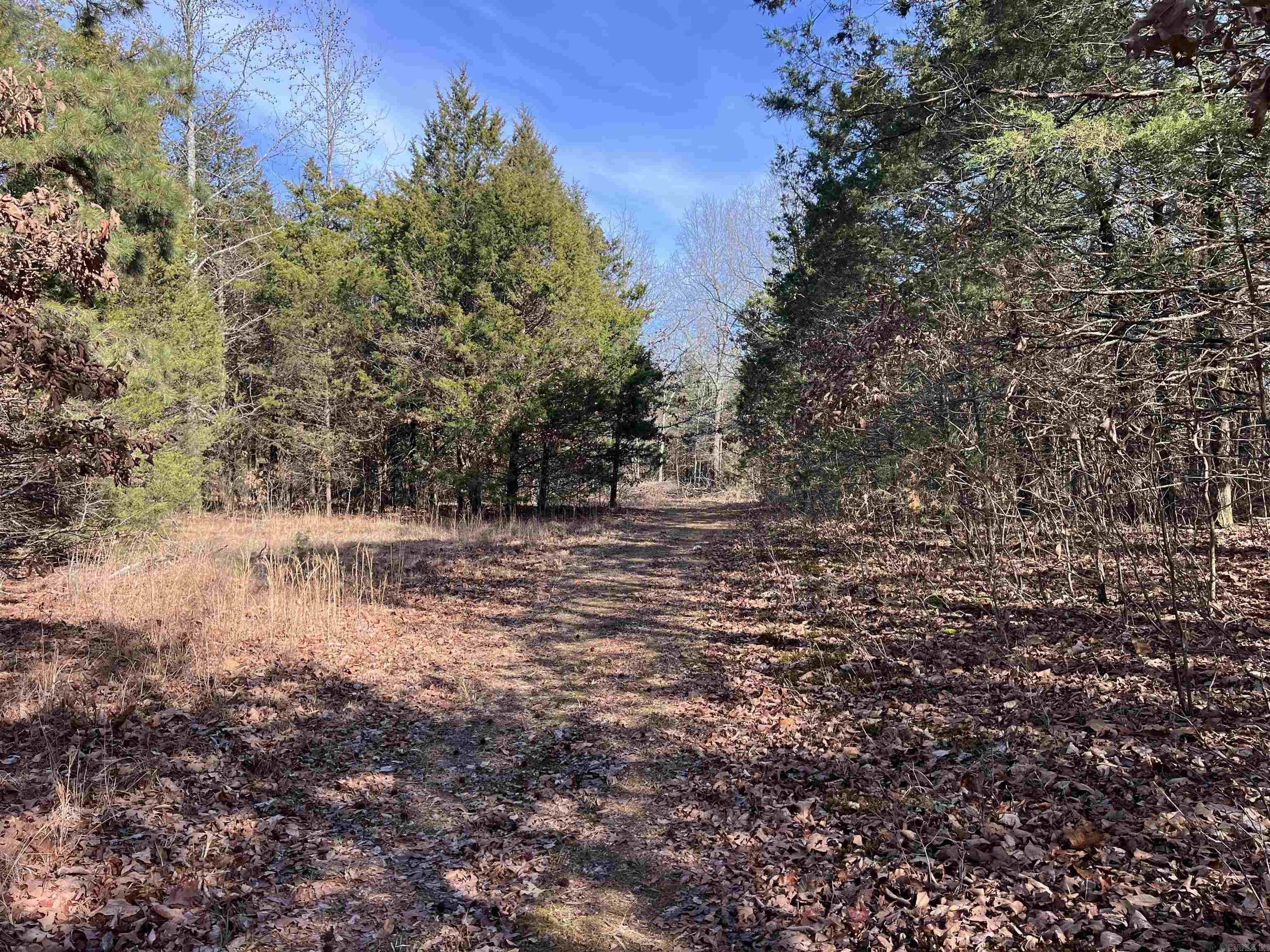 000 Shiloh Rd Property Photo 30