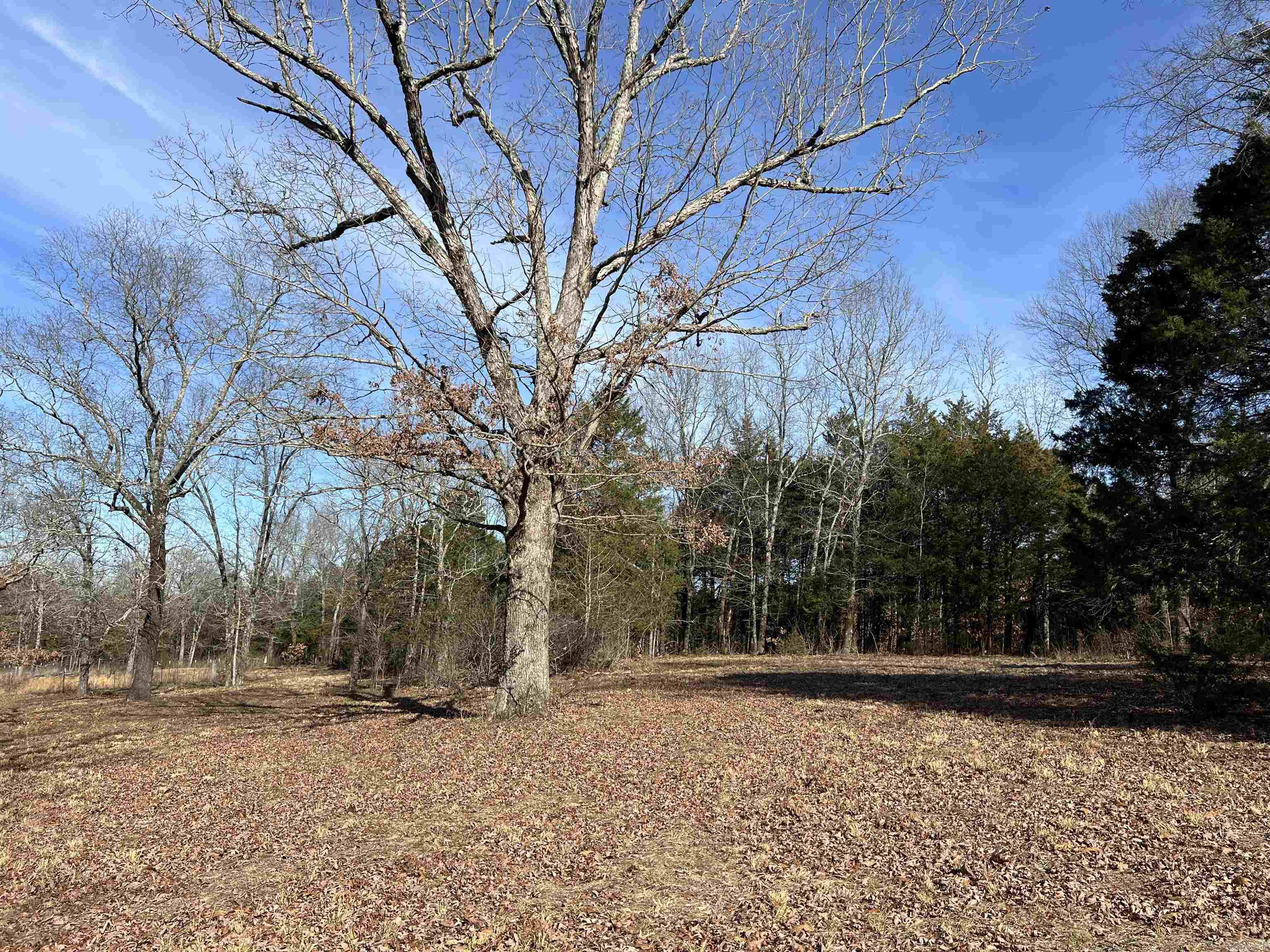 000 Shiloh Rd Property Photo 31