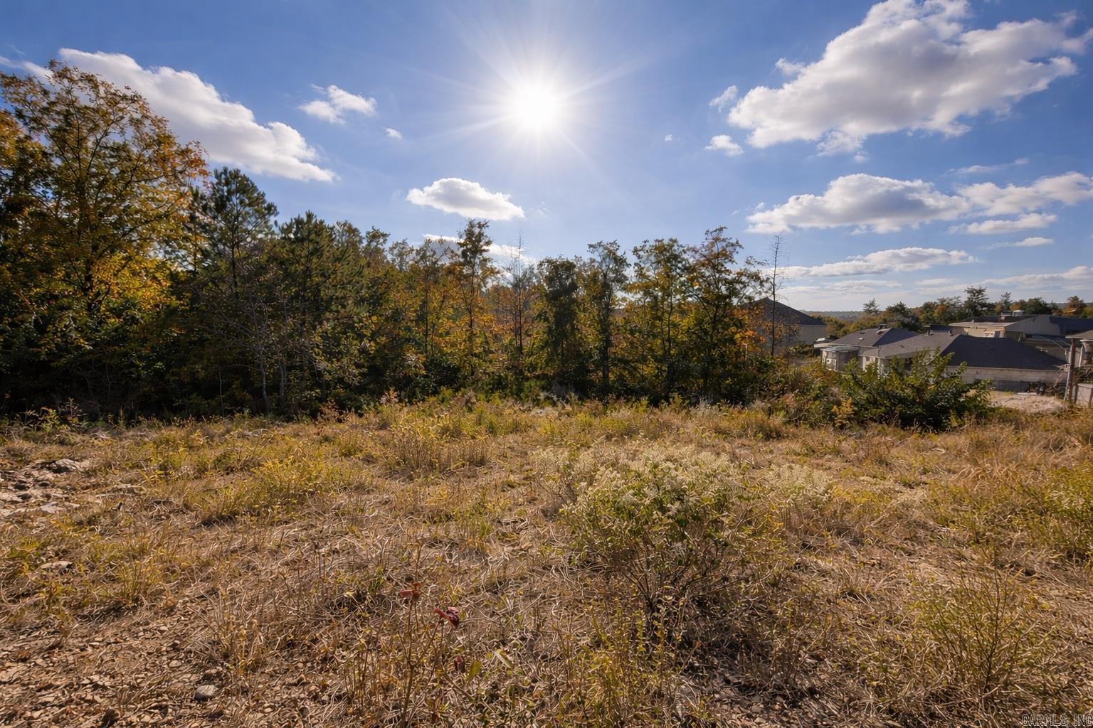 15109 Angus Court Property Photo 5