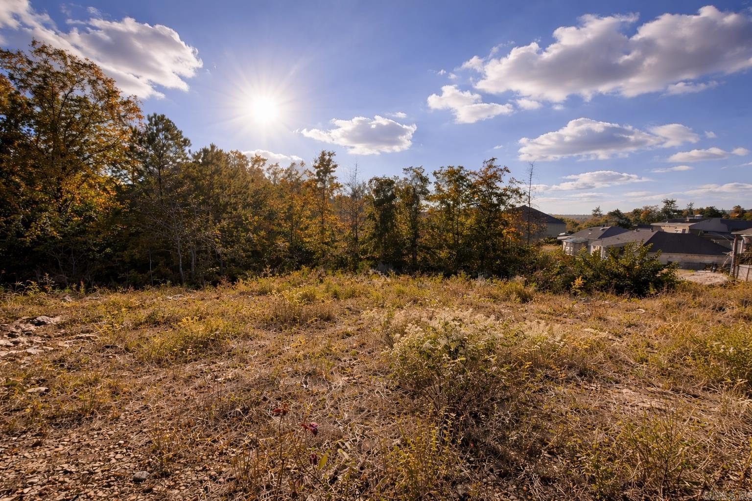 15109 Angus Court Property Photo 6