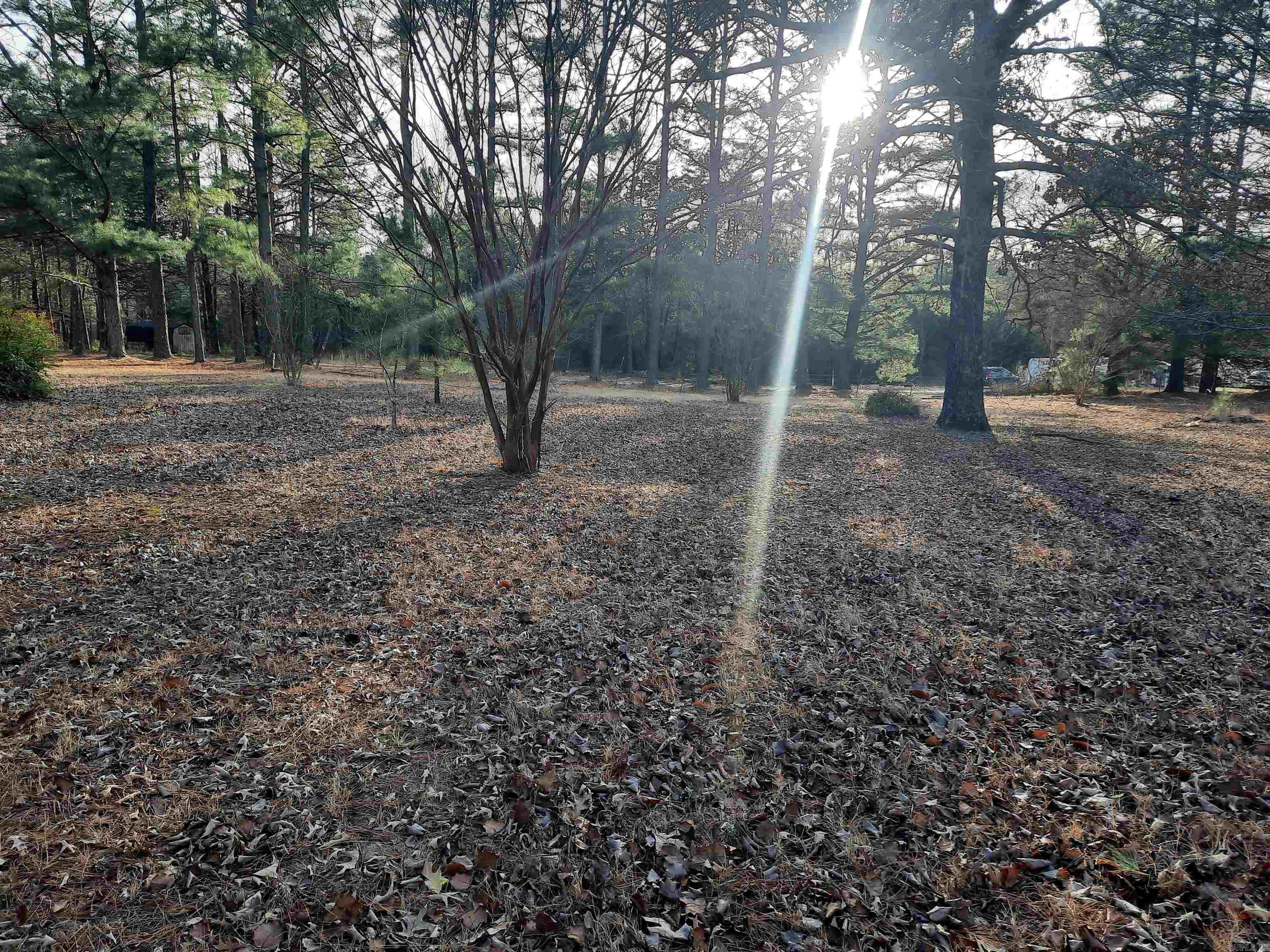 544 Rocky Road Property Photo 43