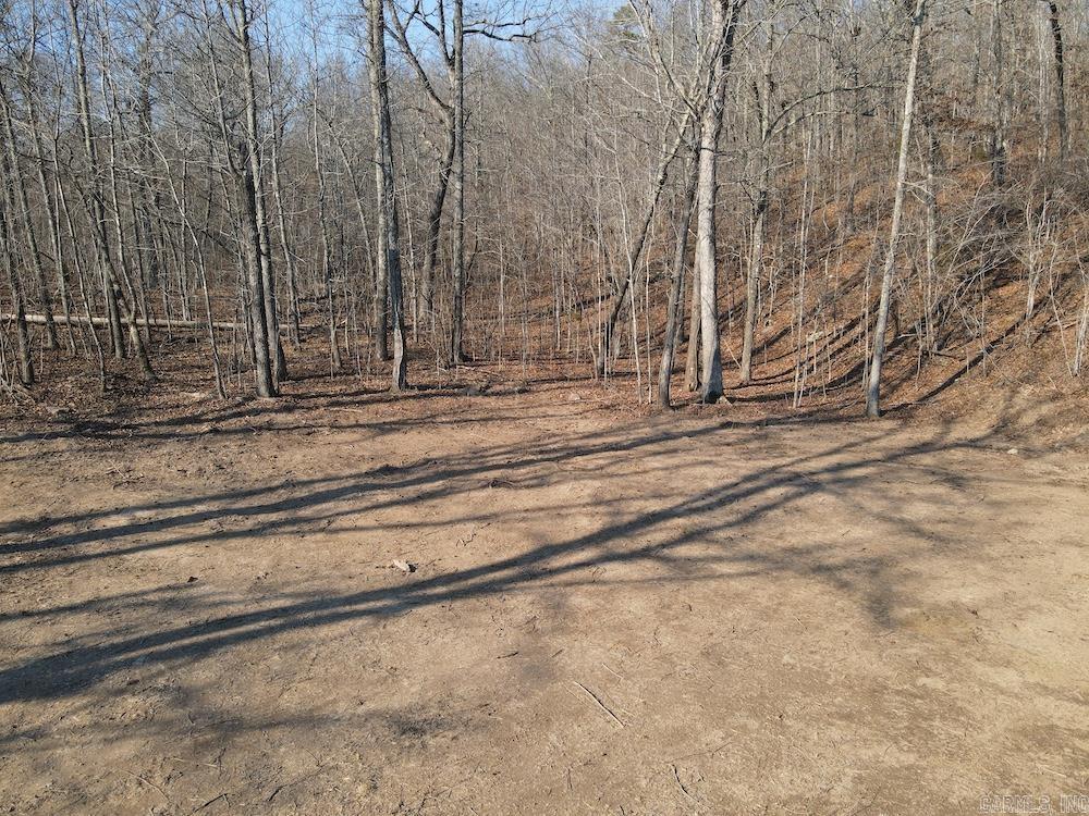 Kennedy Road Property Photo 12
