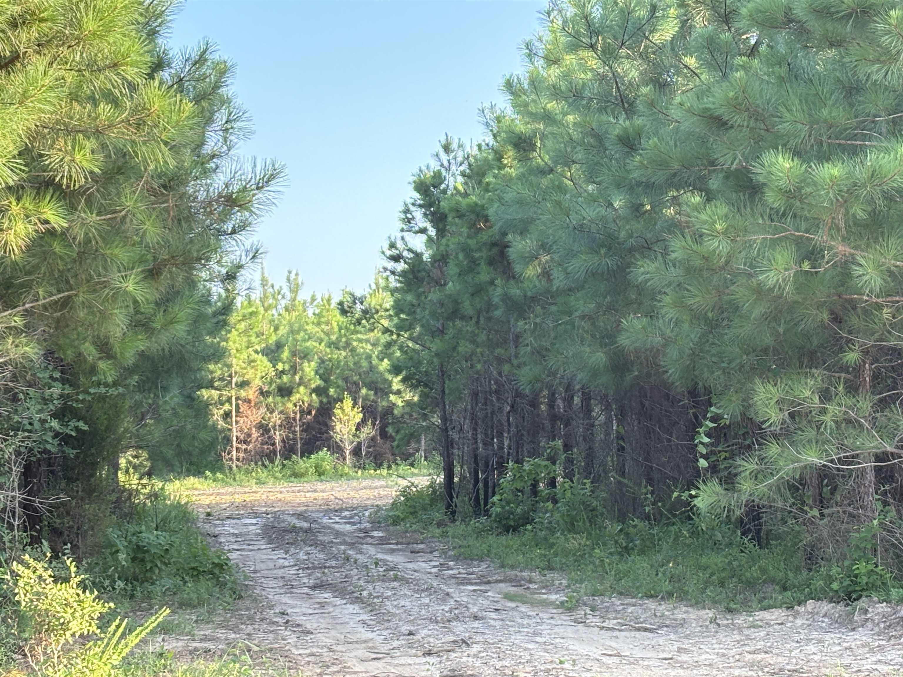 Tract 2b Avalon Lake Lane Property Photo 5
