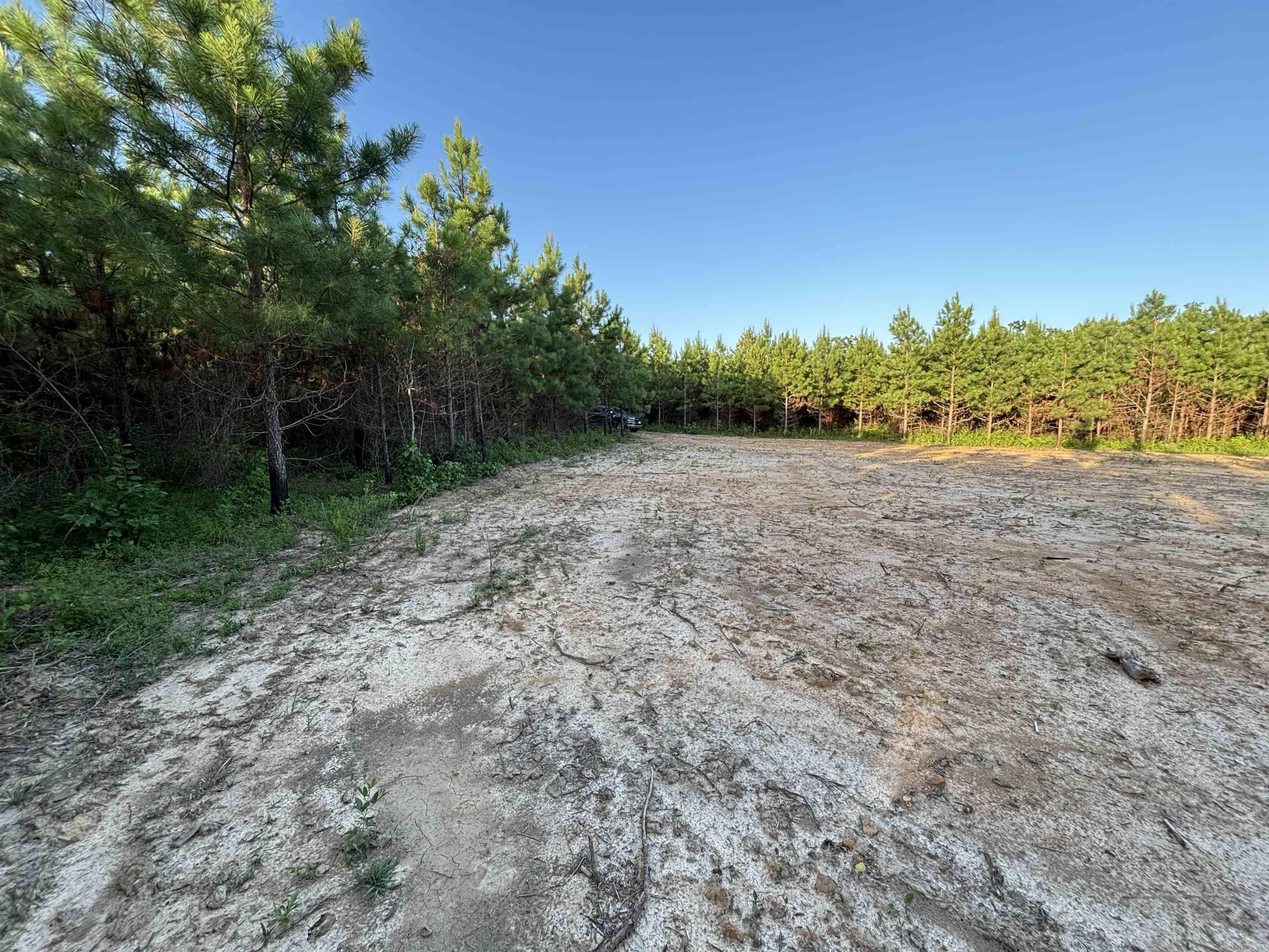 Tract 2b Avalon Lake Lane Property Photo 7