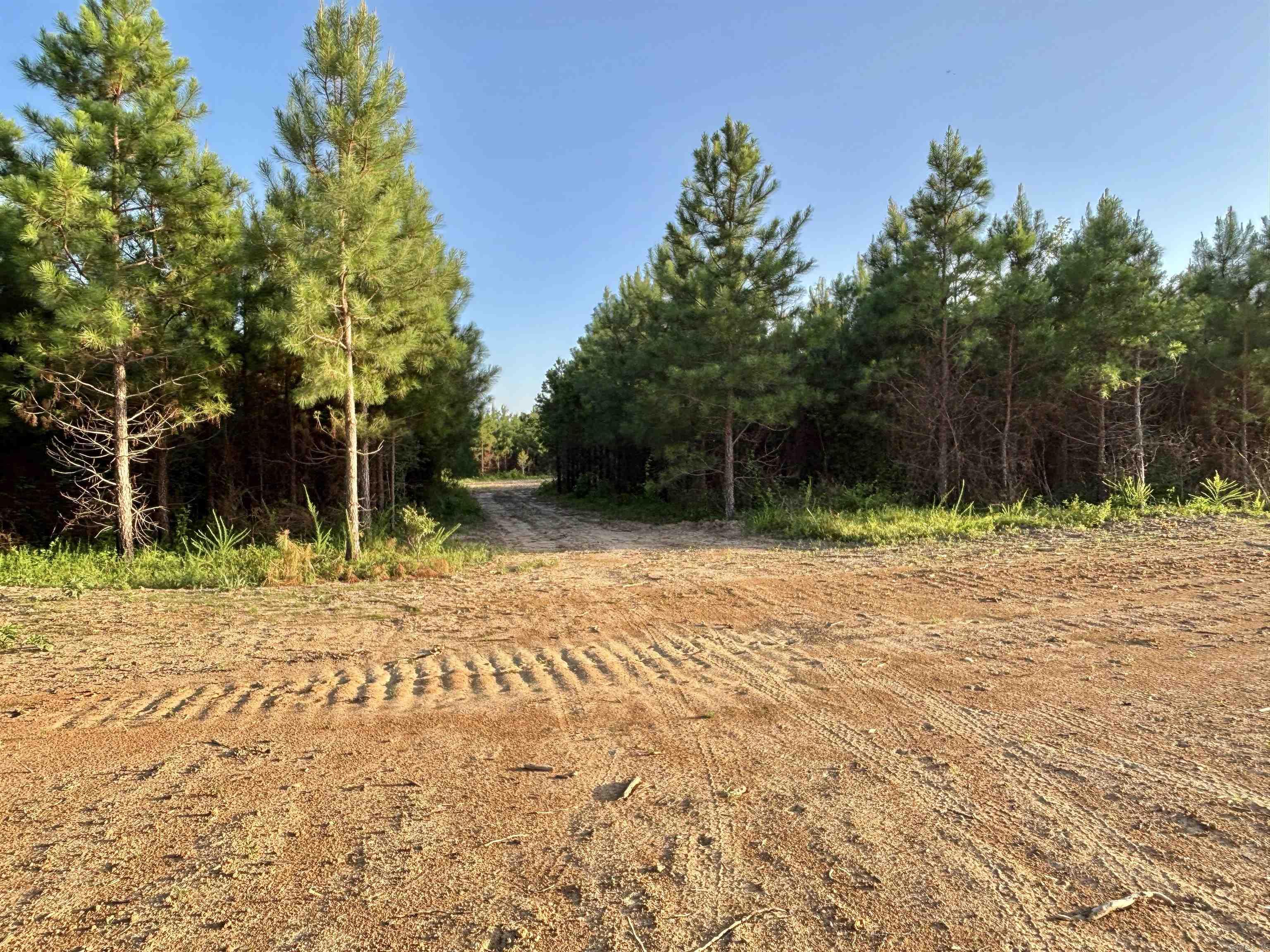 Tract 2b Avalon Lake Lane Property Photo 8