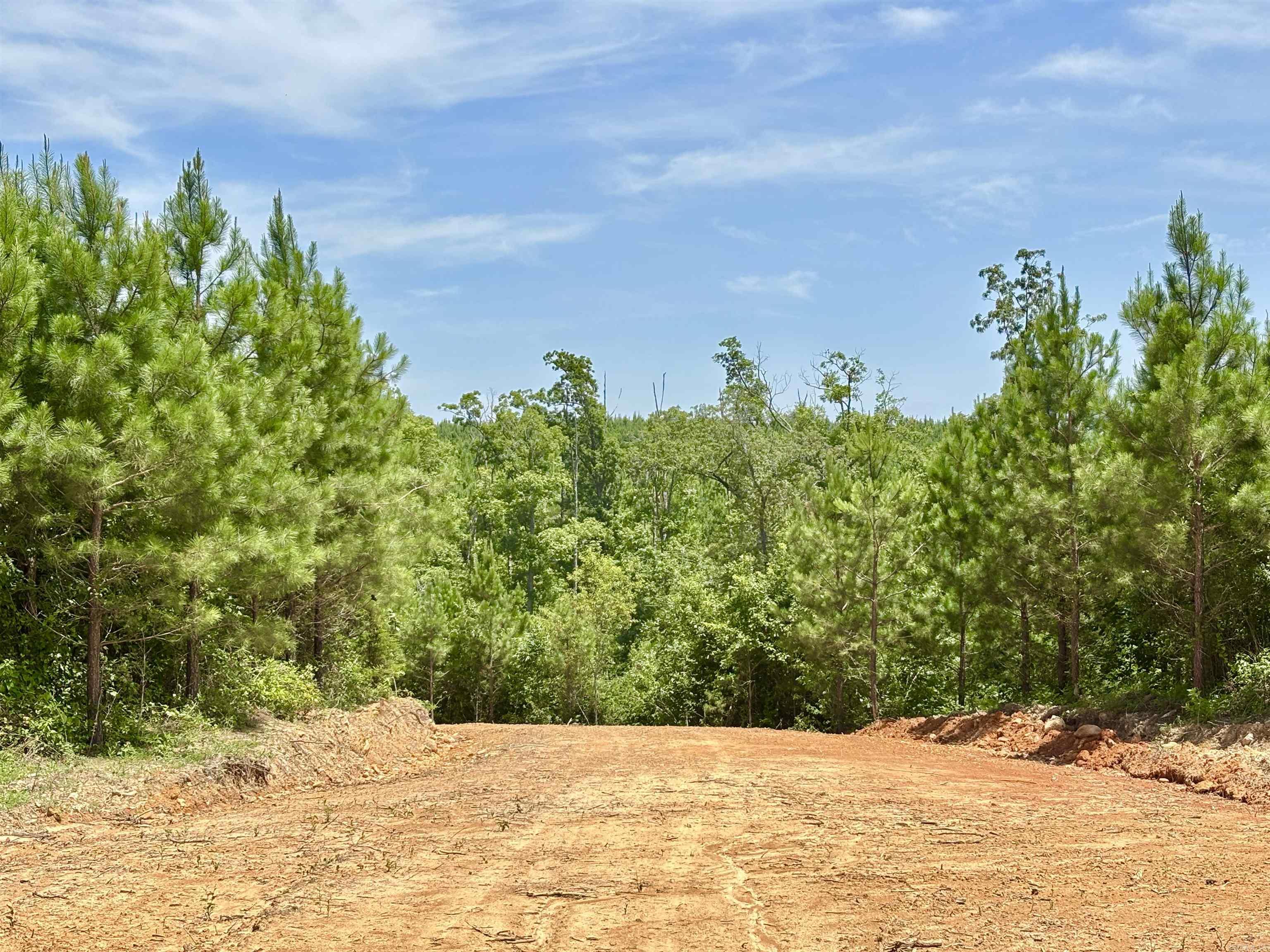 Tract 2b Avalon Lake Lane Property Photo 13