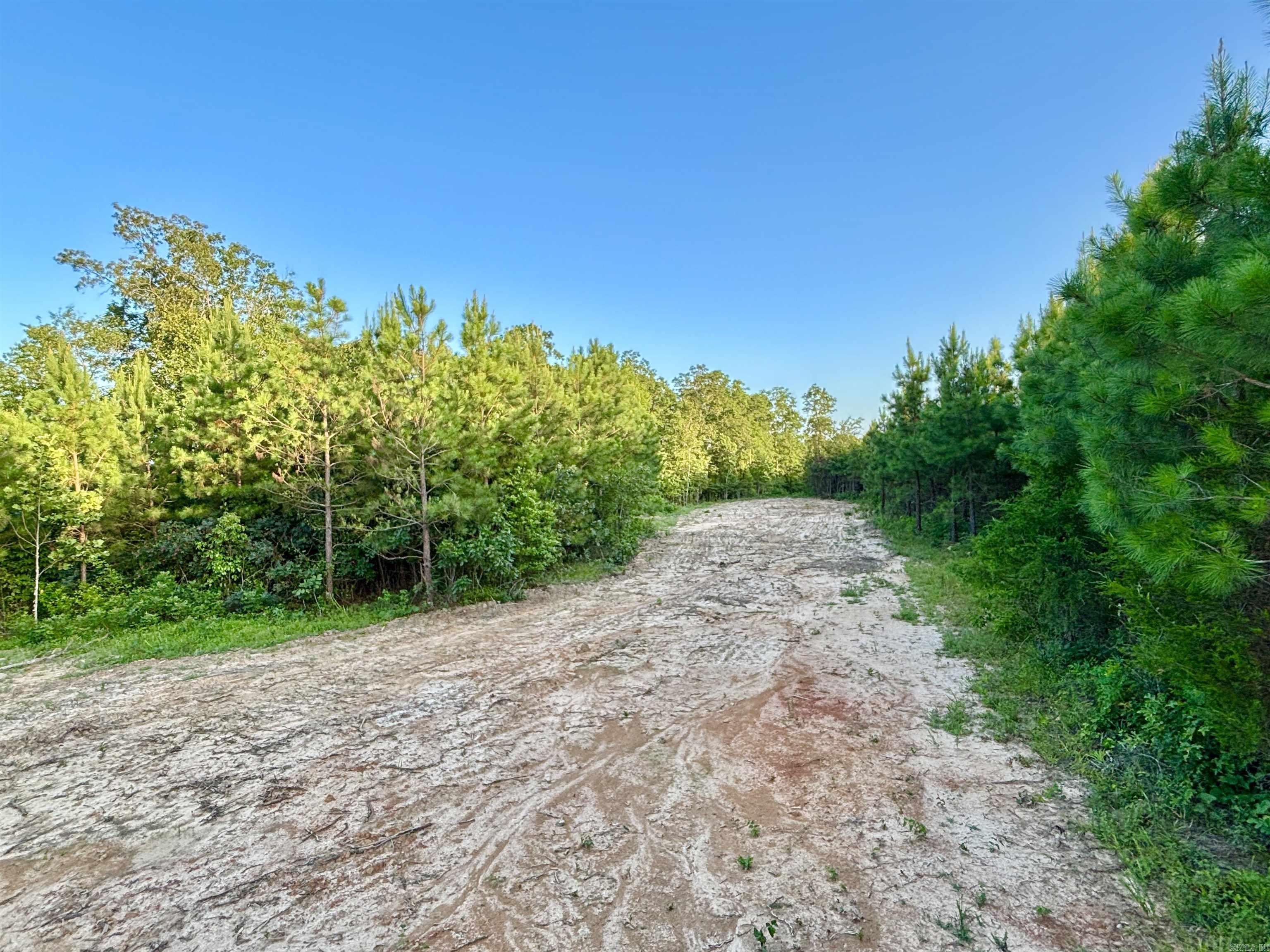 Tract 2c Avalon Lake Lane Property Photo 2