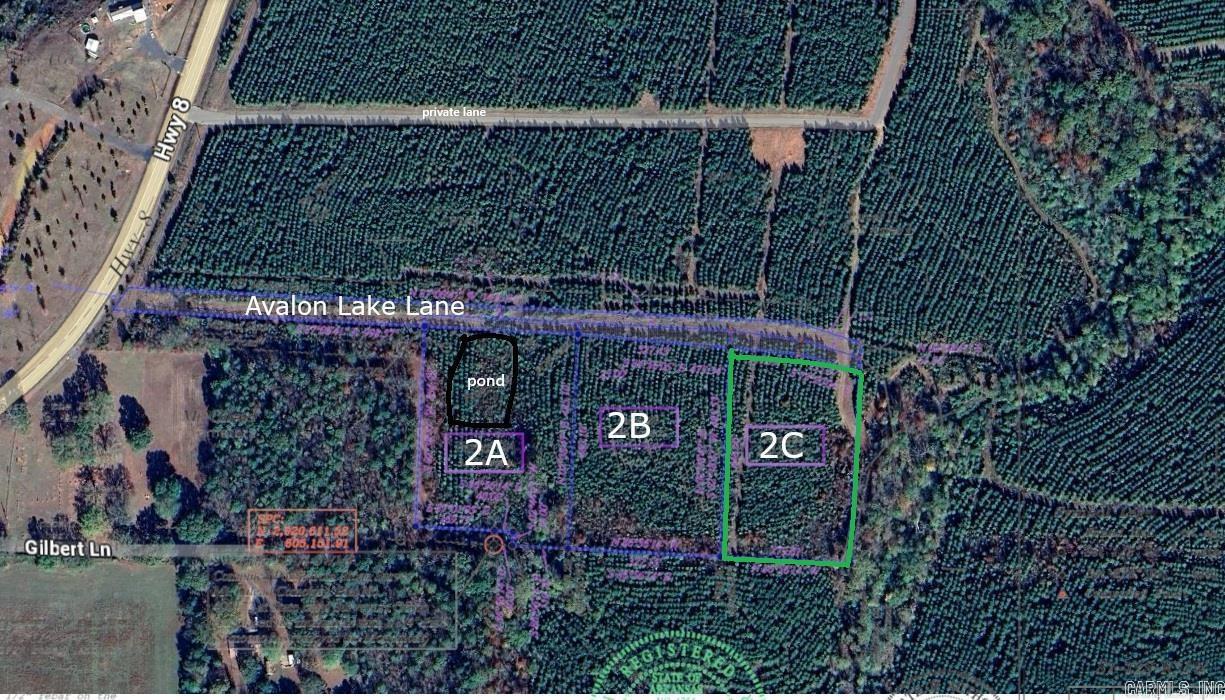 Tract 2c Avalon Lake Lane Property Photo 6