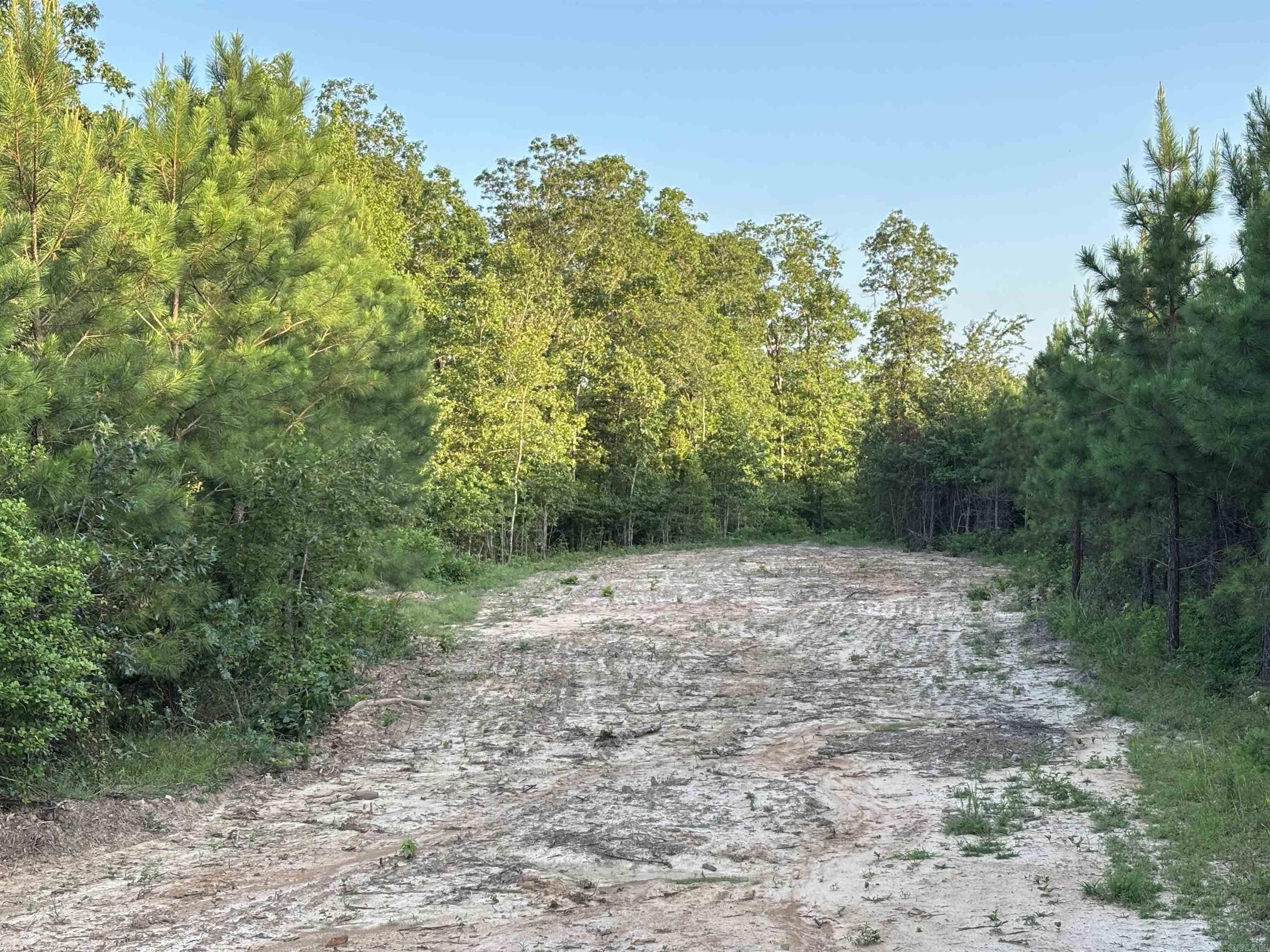 Tract 2c Avalon Lake Lane Property Photo 8