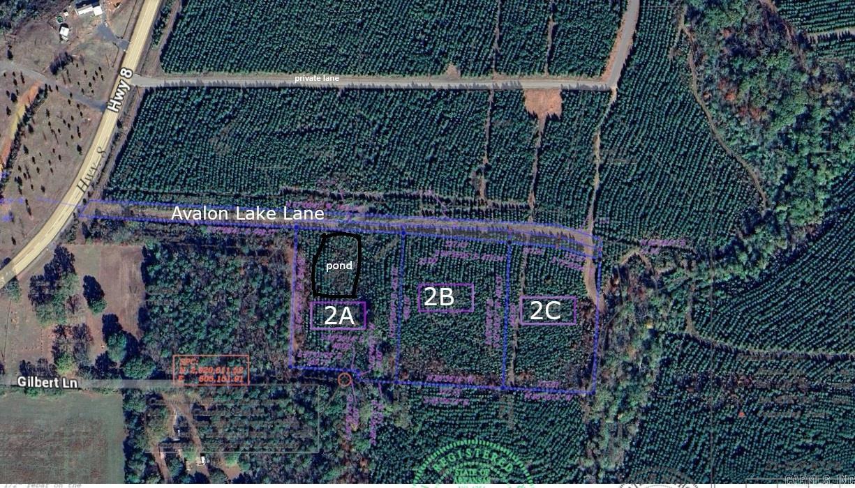 Tract 2c Avalon Lake Lane Property Photo 15
