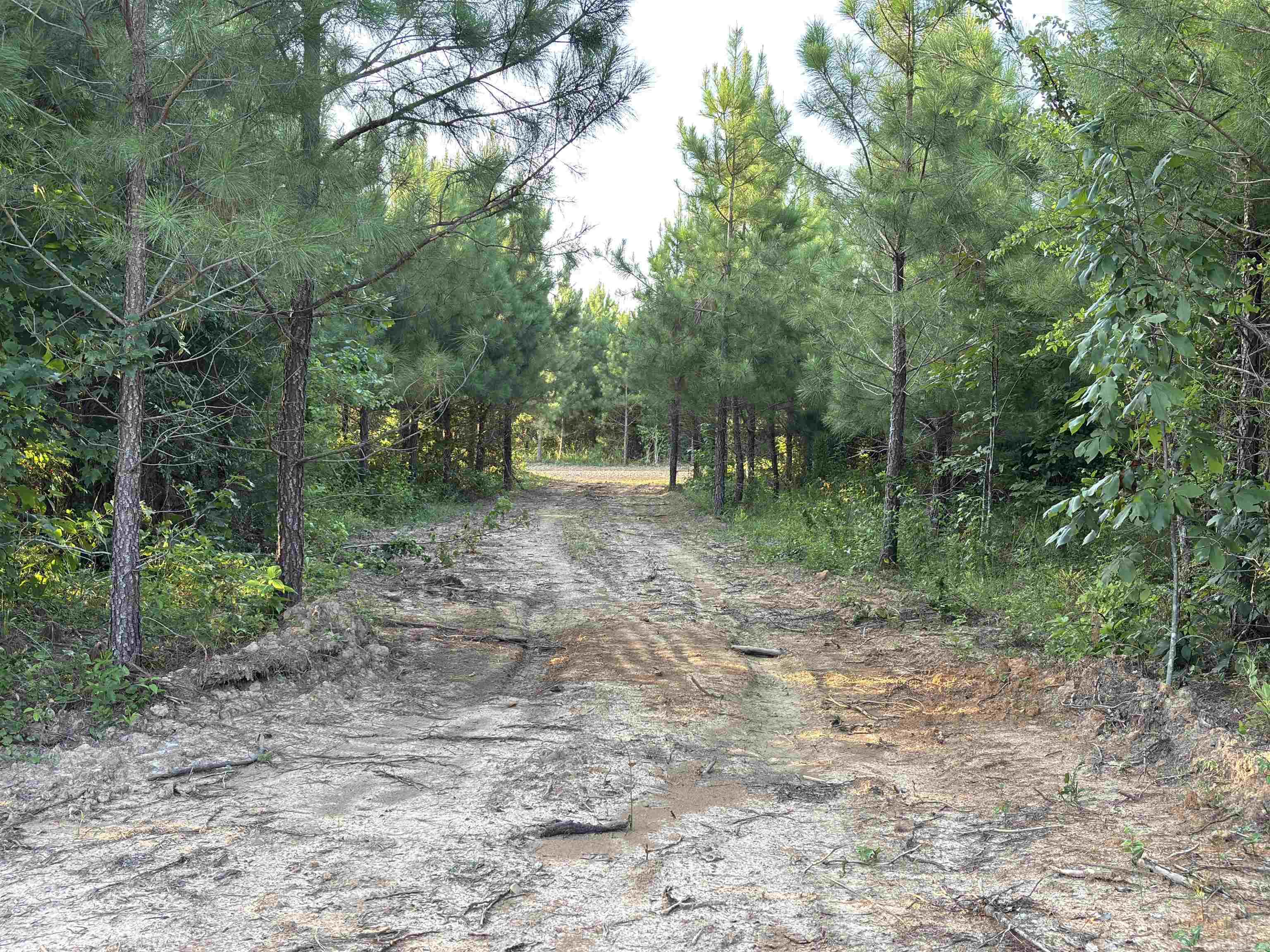 Tract 2a Avalon Lake Lane Property Photo 7