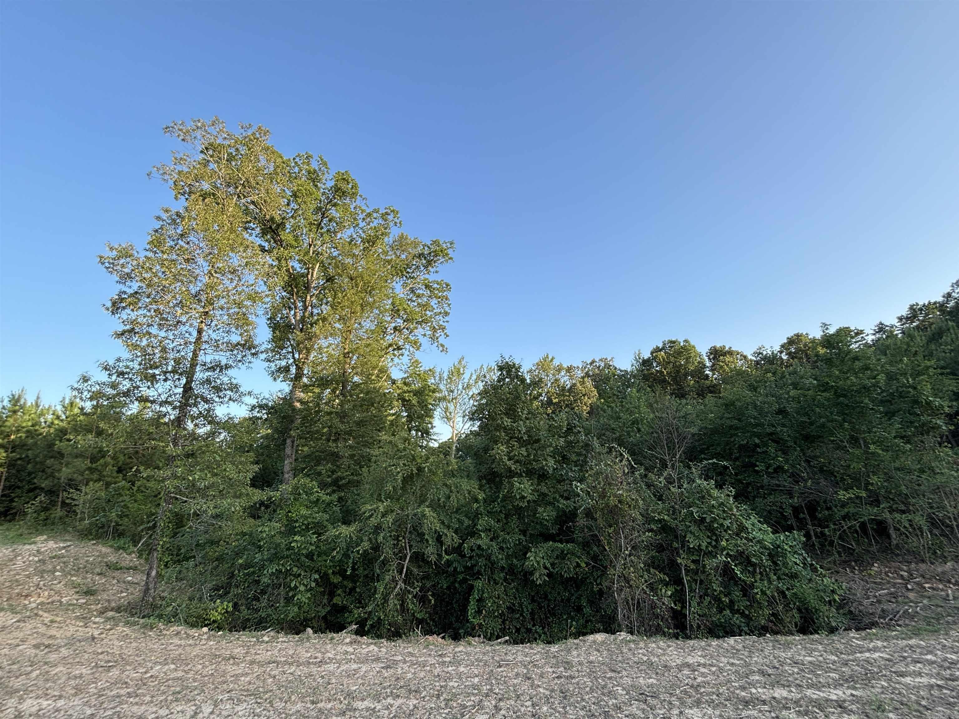 Tract 2a Avalon Lake Lane Property Photo 8
