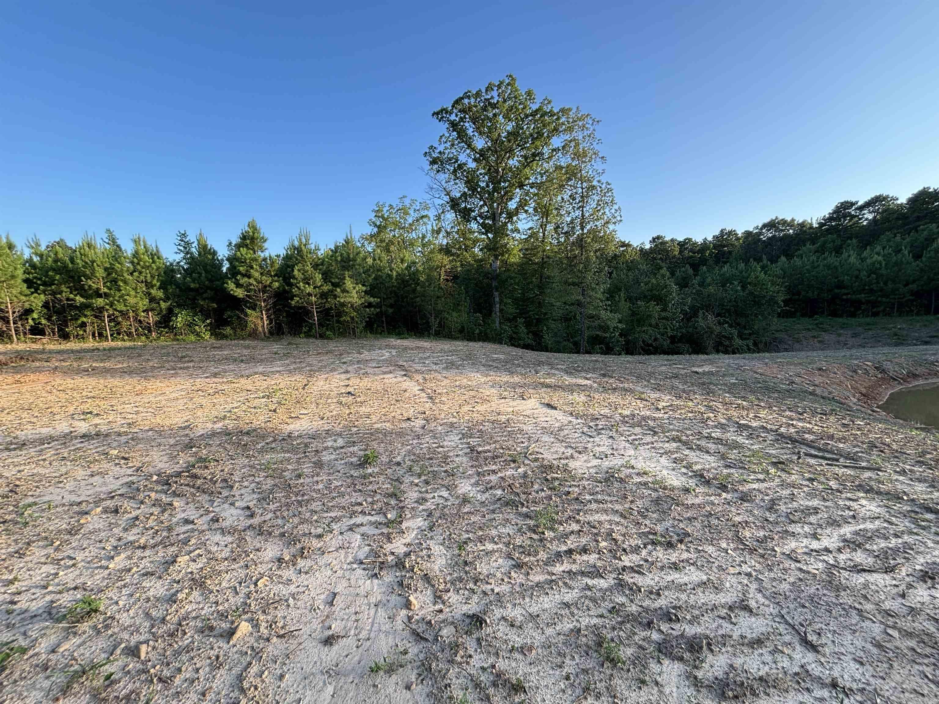 Tract 2a Avalon Lake Lane Property Photo 10