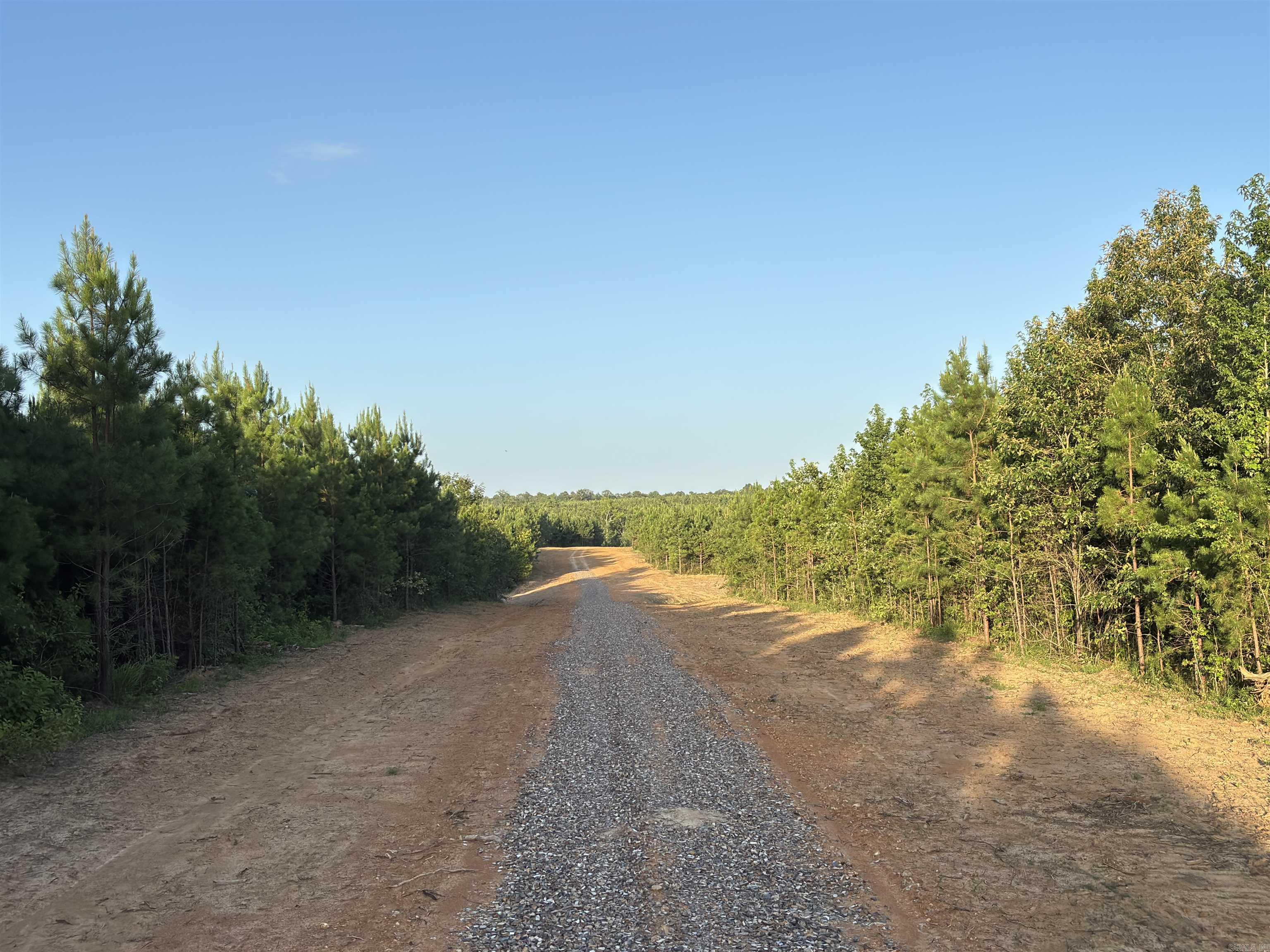 Tract 2a Avalon Lake Lane Property Photo 13