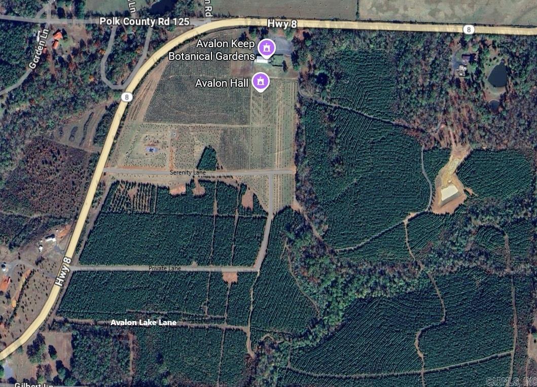 Tract 2a Avalon Lake Lane Property Photo 25